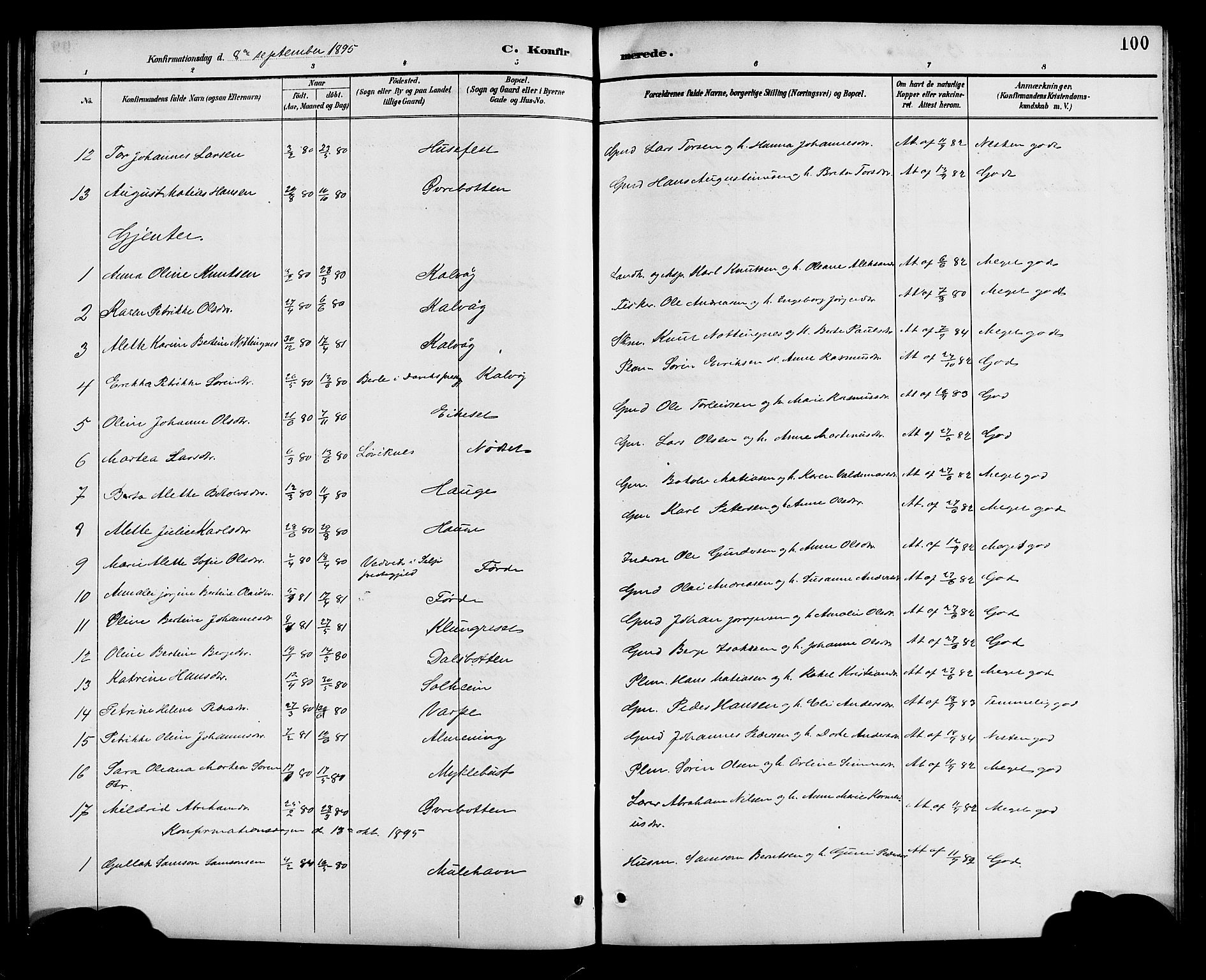 Bremanger sokneprestembete, AV/SAB-A-82201/H/Hab/Haba/L0003: Parish register (copy) no. A 3, 1890-1908, p. 100