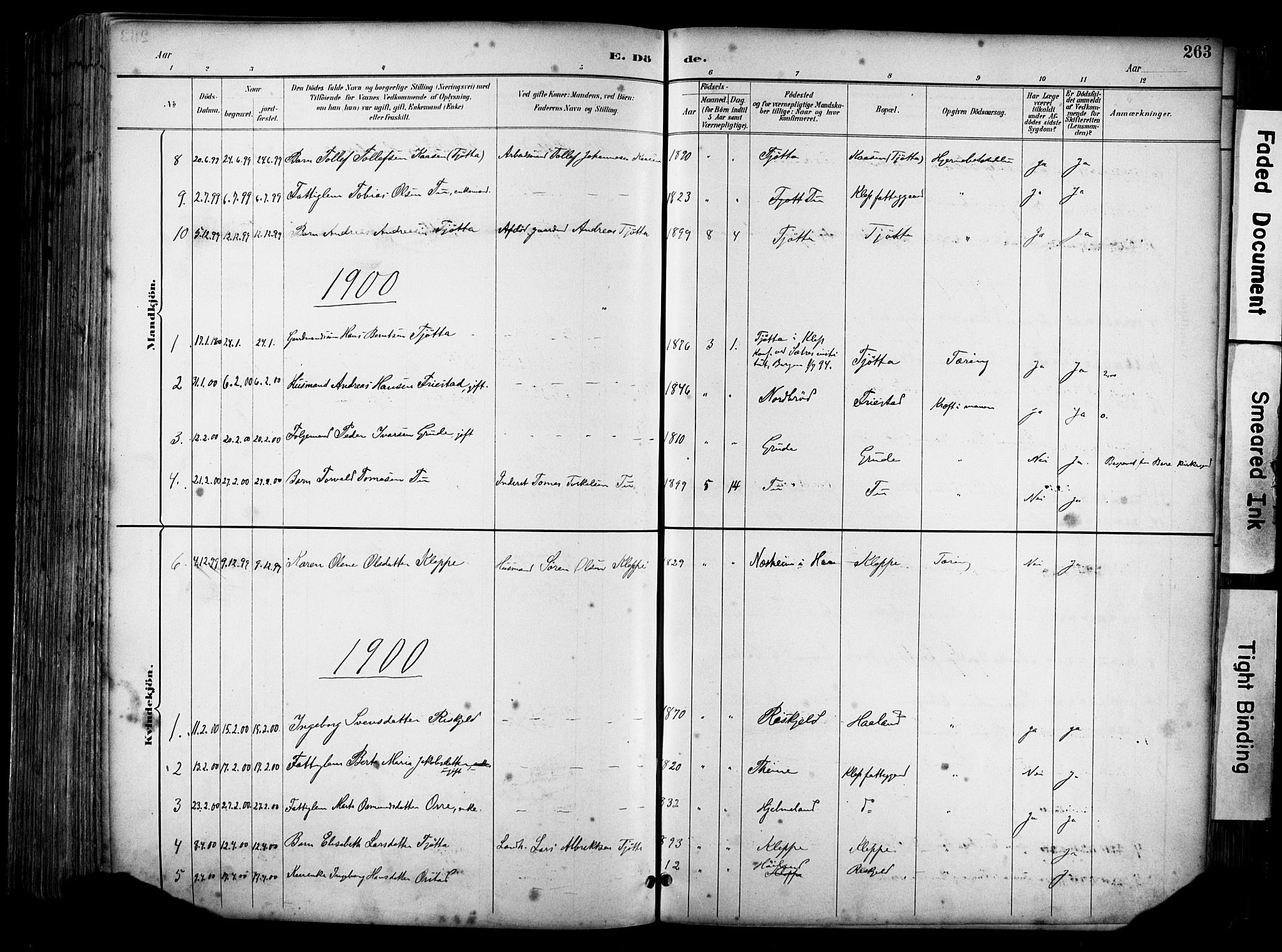 Klepp sokneprestkontor, SAST/A-101803/001/3/30BA/L0009: Parish register (official) no. A 7, 1886-1915, p. 263