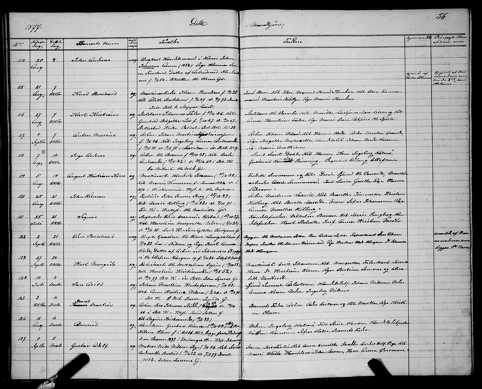 Ministerialprotokoller, klokkerbøker og fødselsregistre - Sør-Trøndelag, SAT/A-1456/604/L0220: Parish register (copy) no. 604C03, 1870-1885, p. 56