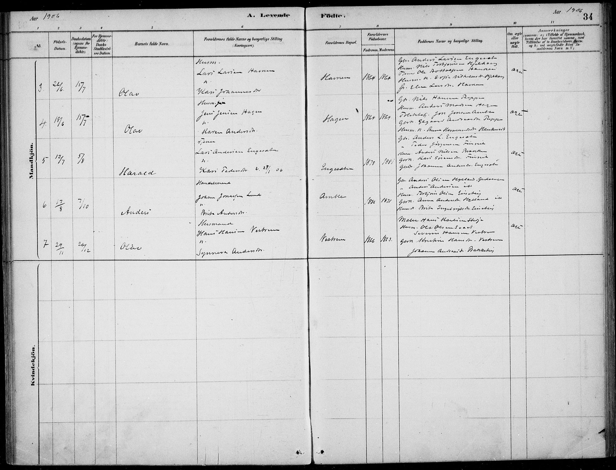 Sogndal sokneprestembete, AV/SAB-A-81301/H/Haa/Haad/L0001: Parish register (official) no. D  1, 1878-1907, p. 34