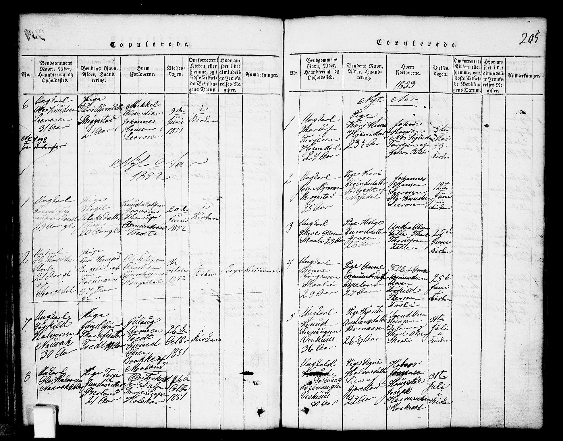 Nissedal kirkebøker, SAKO/A-288/G/Gb/L0001: Parish register (copy) no. II 1, 1814-1862, p. 205