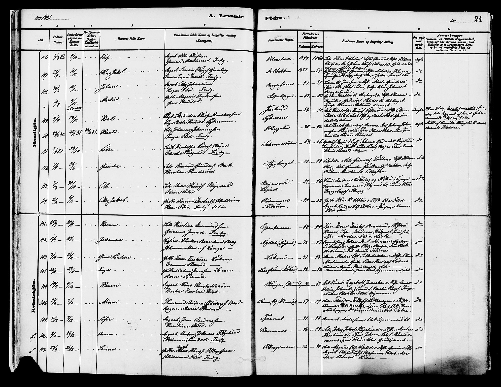 Elverum prestekontor, AV/SAH-PREST-044/H/Ha/Haa/L0013: Parish register (official) no. 13, 1880-1890, p. 24