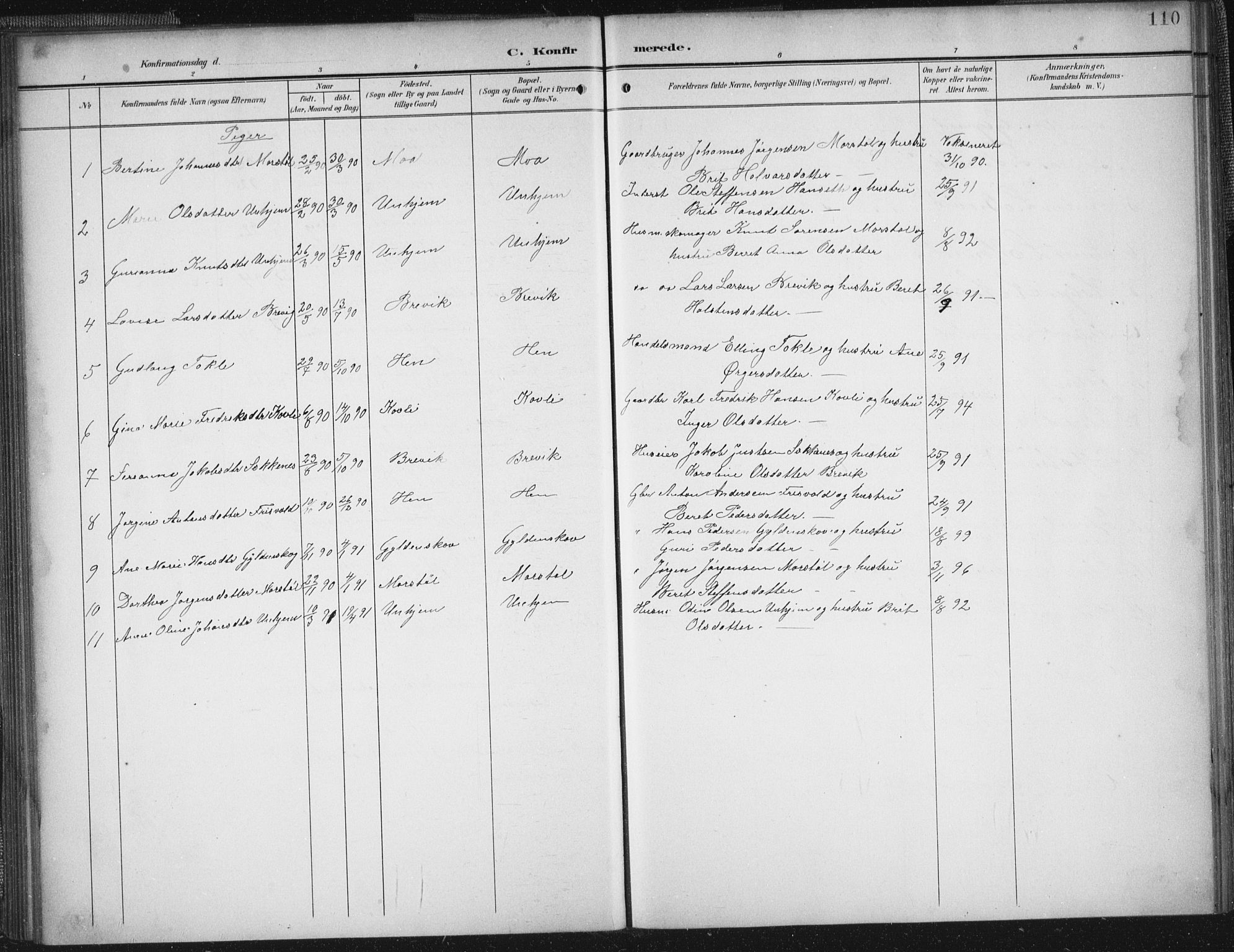 Ministerialprotokoller, klokkerbøker og fødselsregistre - Møre og Romsdal, AV/SAT-A-1454/545/L0589: Parish register (copy) no. 545C03, 1902-1937, p. 110