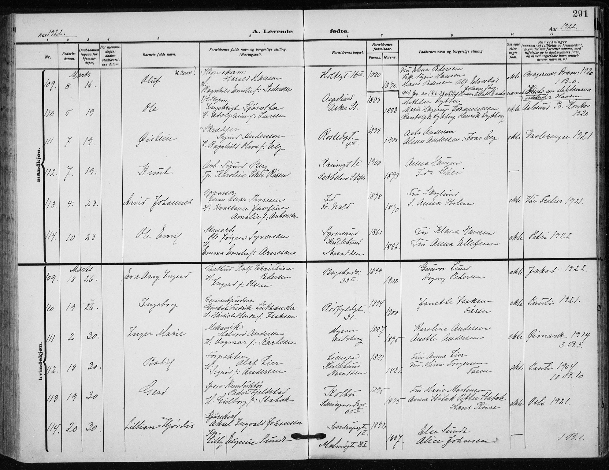 Rikshospitalet prestekontor Kirkebøker, SAO/A-10309b/F/L0017: Parish register (official) no. 17, 1919-1922, p. 291