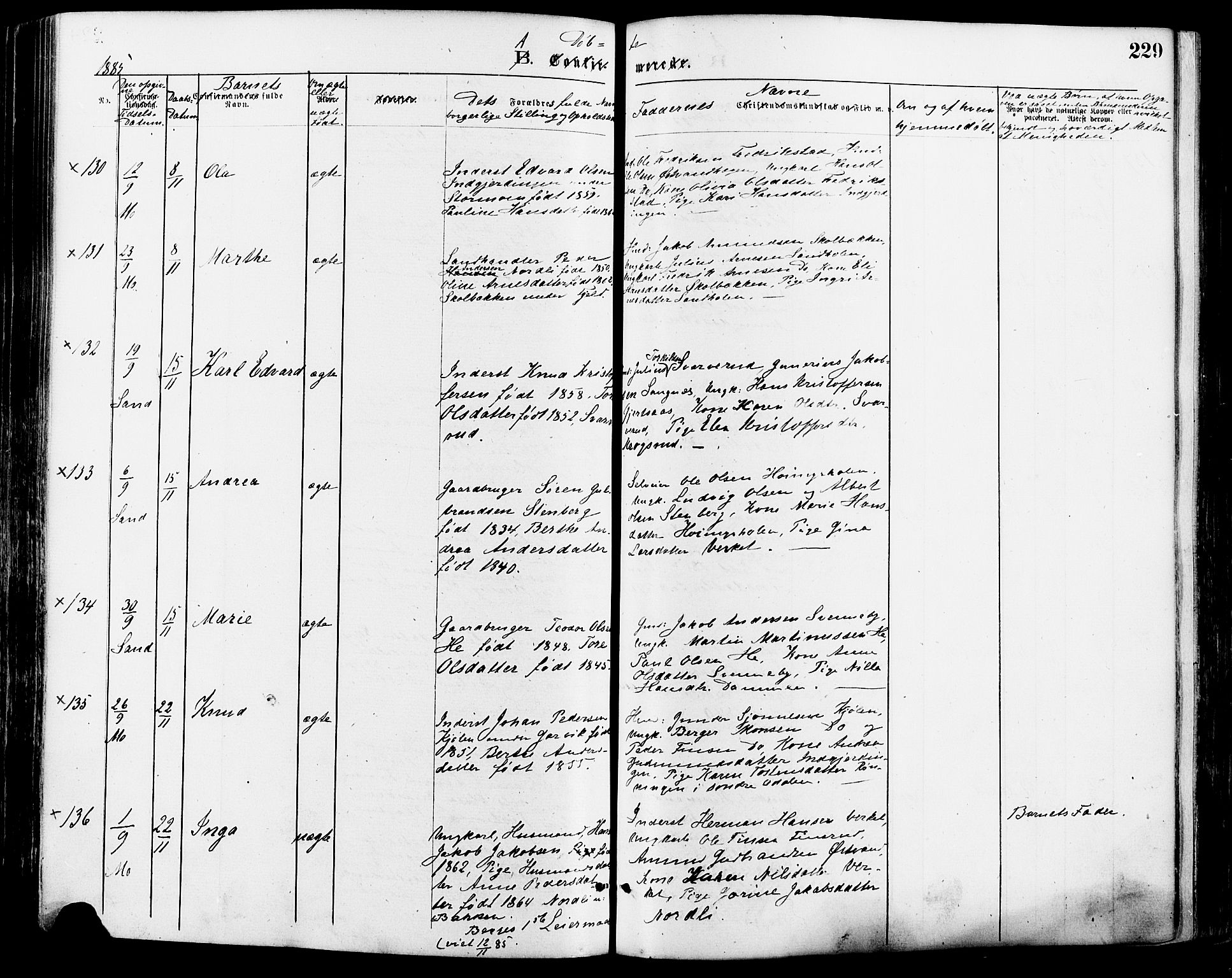 Nord-Odal prestekontor, AV/SAH-PREST-032/H/Ha/Haa/L0005: Parish register (official) no. 5, 1874-1885, p. 229