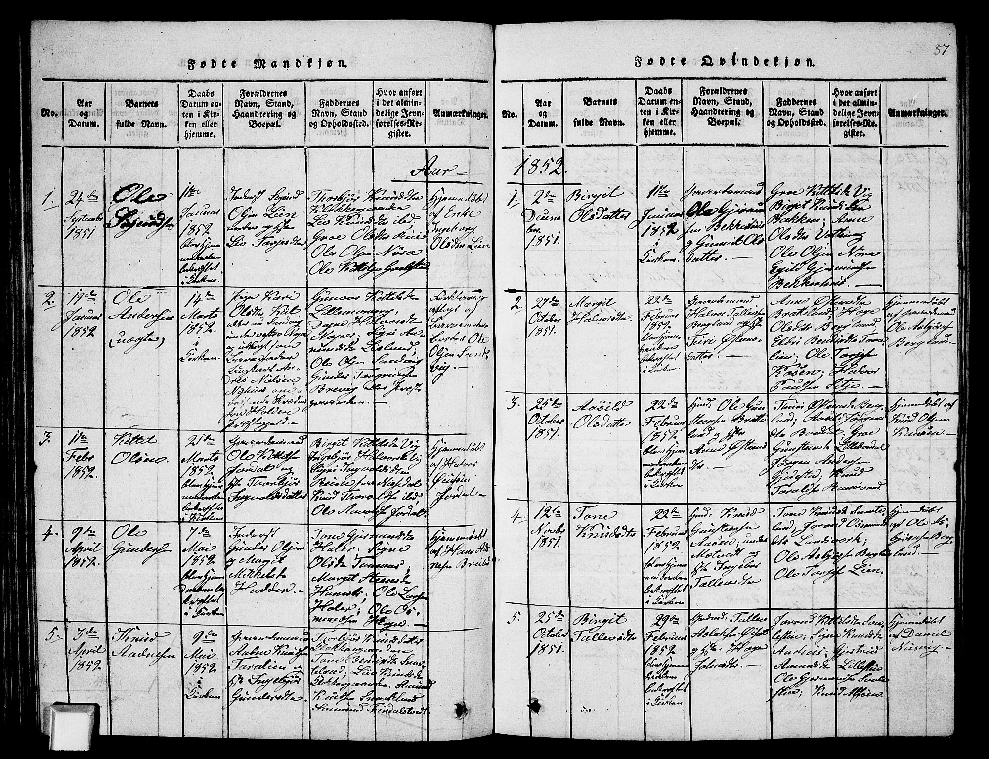 Fyresdal kirkebøker, SAKO/A-263/G/Ga/L0002: Parish register (copy) no. I 2, 1815-1857, p. 87
