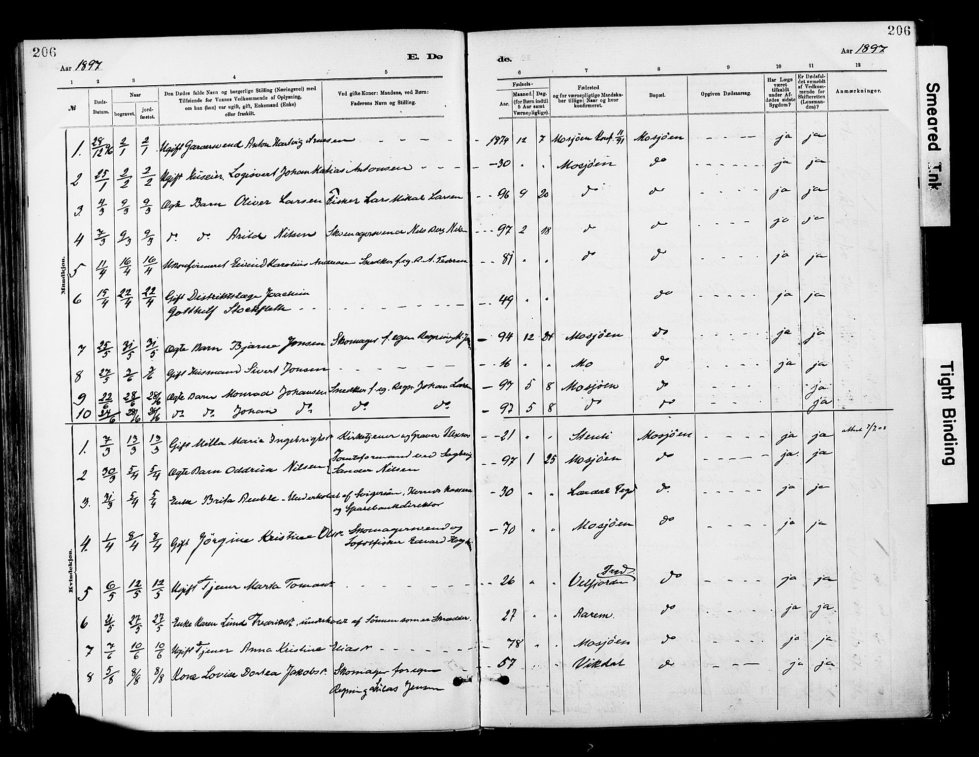 Ministerialprotokoller, klokkerbøker og fødselsregistre - Nordland, AV/SAT-A-1459/820/L0296: Parish register (official) no. 820A17, 1880-1903, p. 206