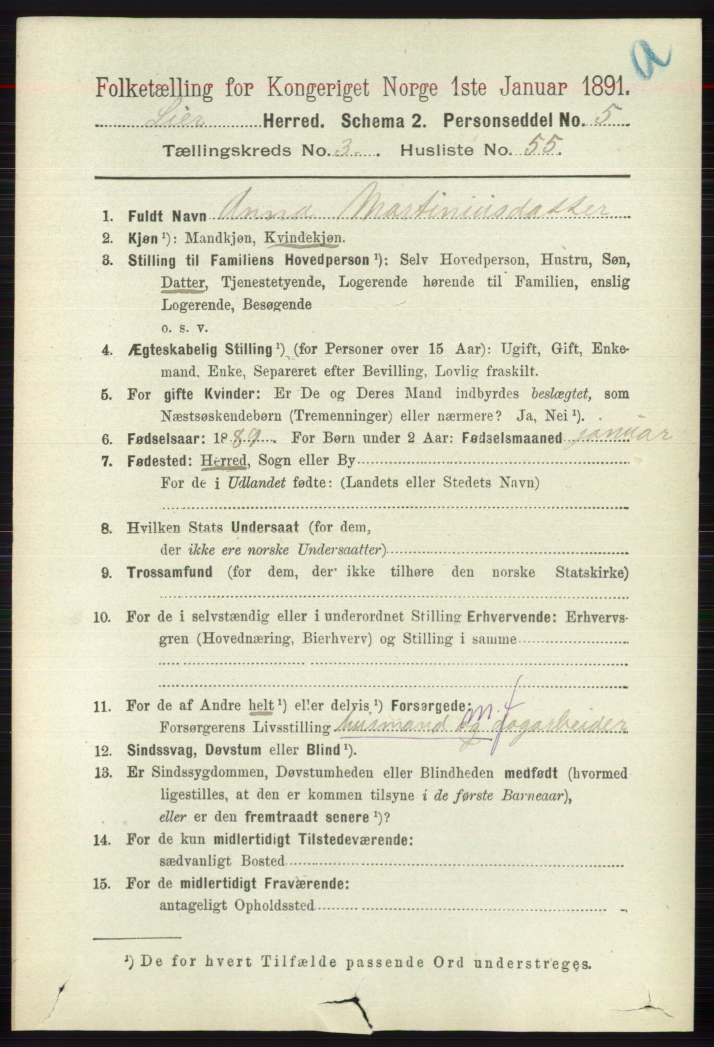 RA, 1891 census for 0626 Lier, 1891, p. 2800