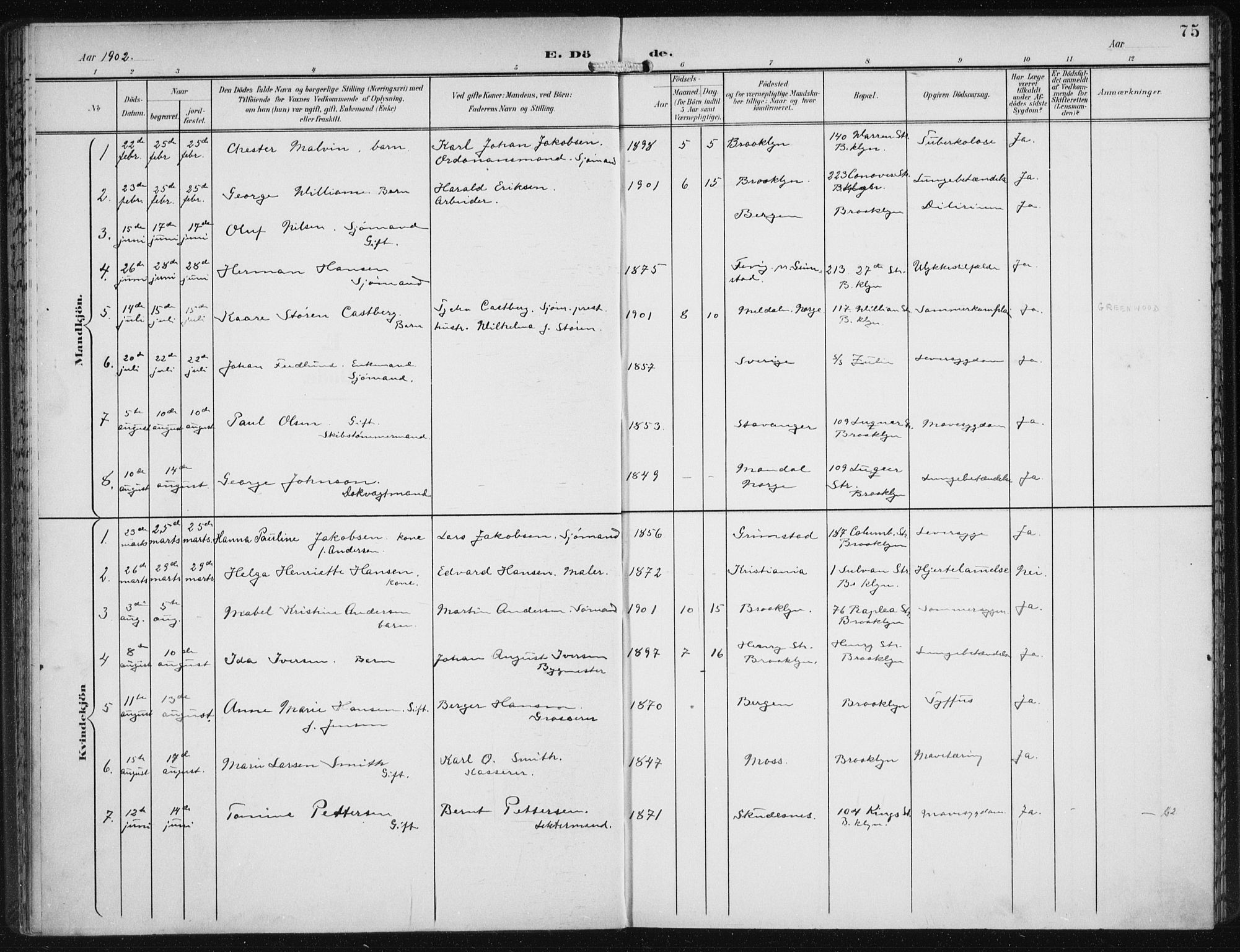 Den norske sjømannsmisjon i utlandet/New York, AV/SAB-SAB/PA-0110/H/Ha/L0005: Parish register (official) no. A 5, 1902-1908, p. 75