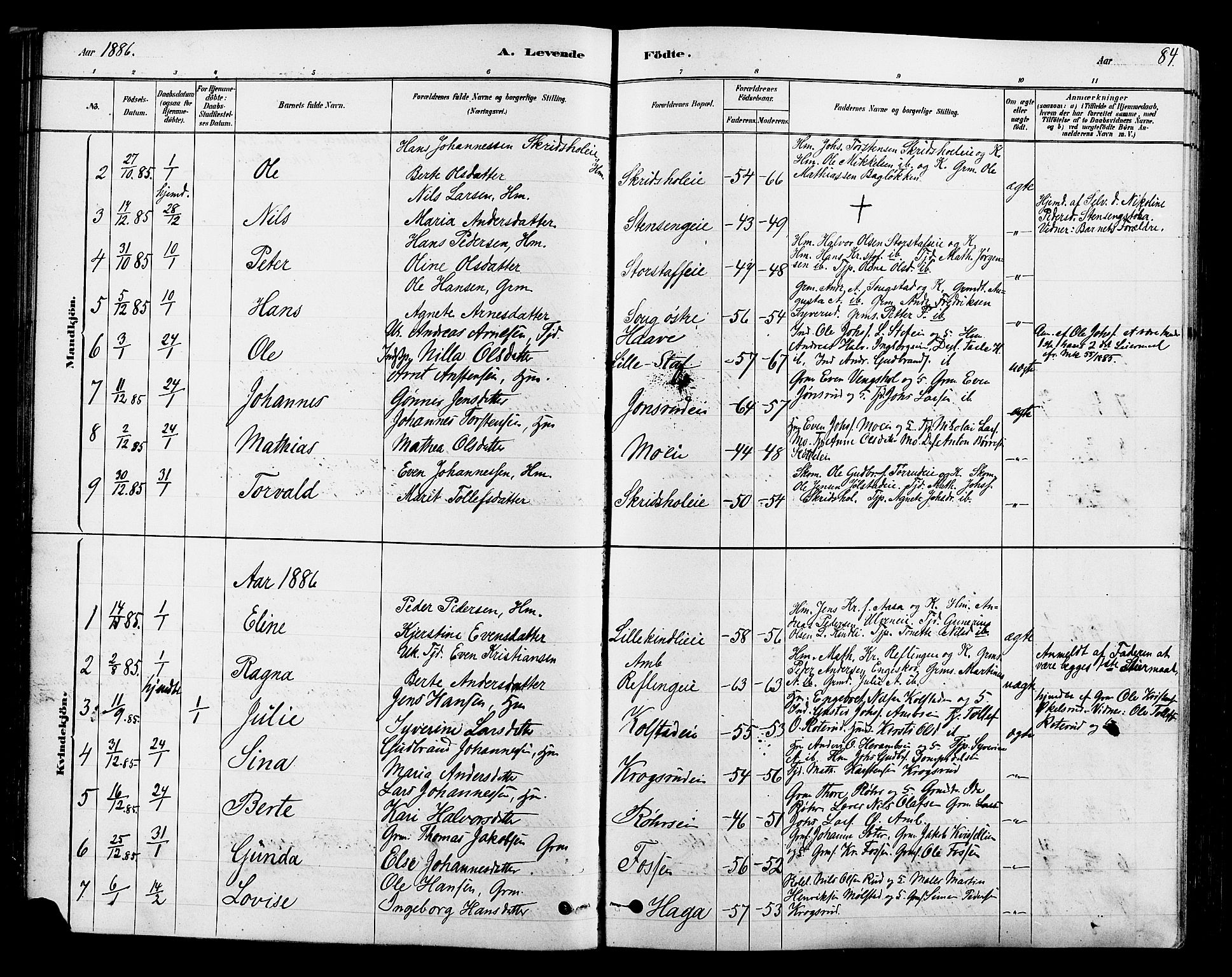 Ringsaker prestekontor, SAH/PREST-014/L/La/L0009: Parish register (copy) no. 9, 1879-1890, p. 84