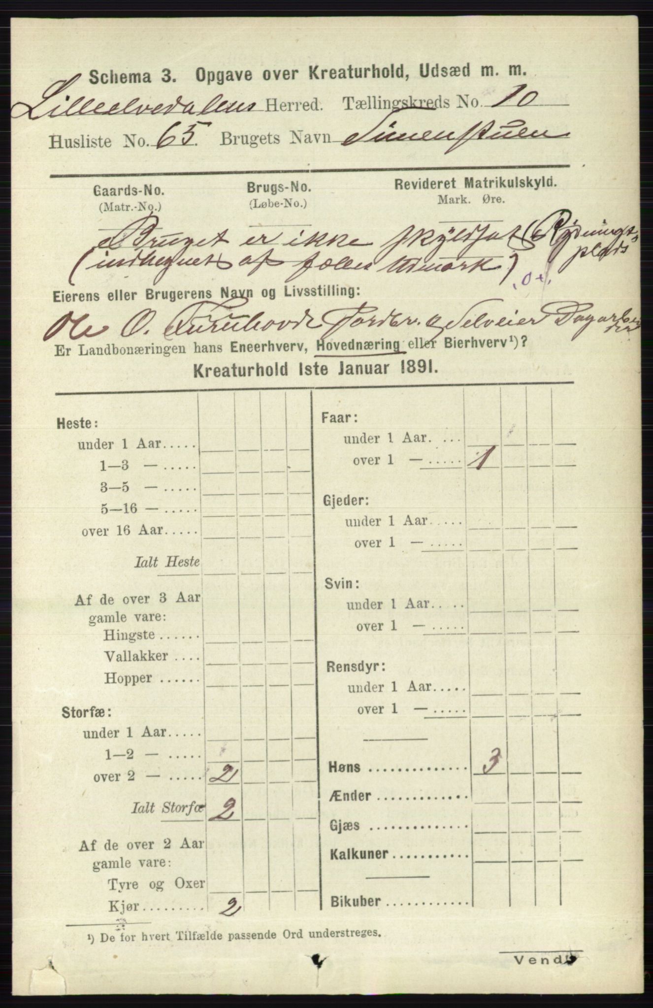 RA, 1891 census for 0438 Lille Elvedalen, 1891, p. 4982