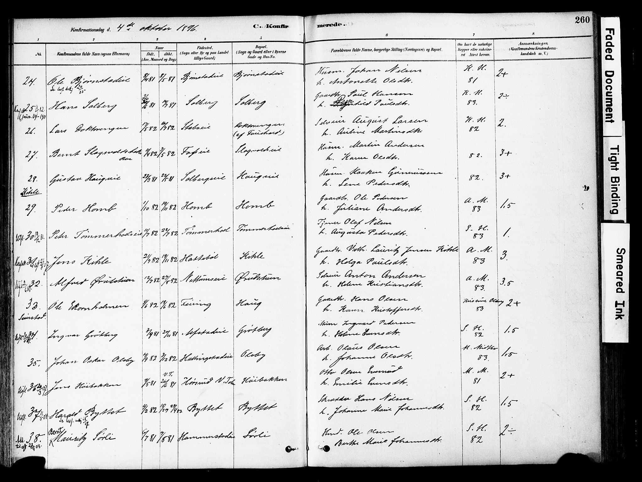 Østre Toten prestekontor, AV/SAH-PREST-104/H/Ha/Haa/L0006: Parish register (official) no. 6 /1, 1878-1896, p. 260