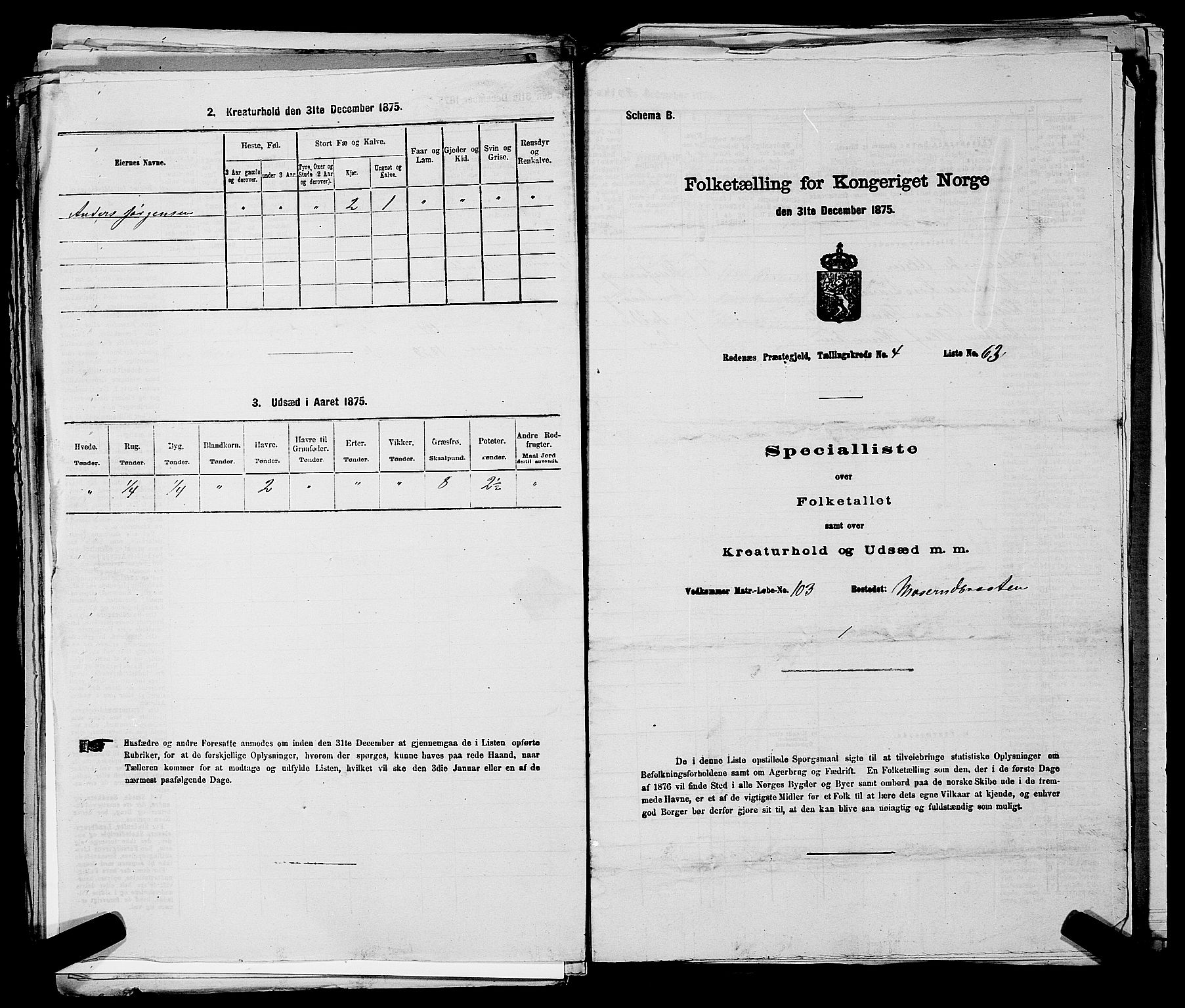 RA, 1875 census for 0120P Rødenes, 1875, p. 631