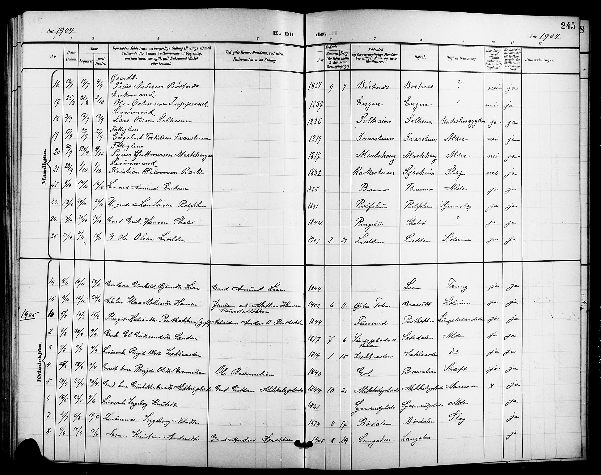 Nes kirkebøker, SAKO/A-236/G/Ga/L0004: Parish register (copy) no. I 4, 1900-1925, p. 245