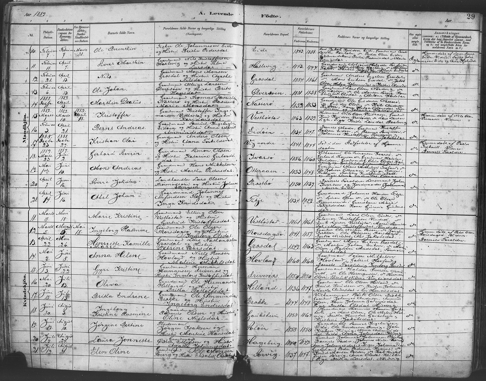 Fitjar sokneprestembete, AV/SAB-A-99926: Parish register (official) no. A 2, 1882-1899, p. 29
