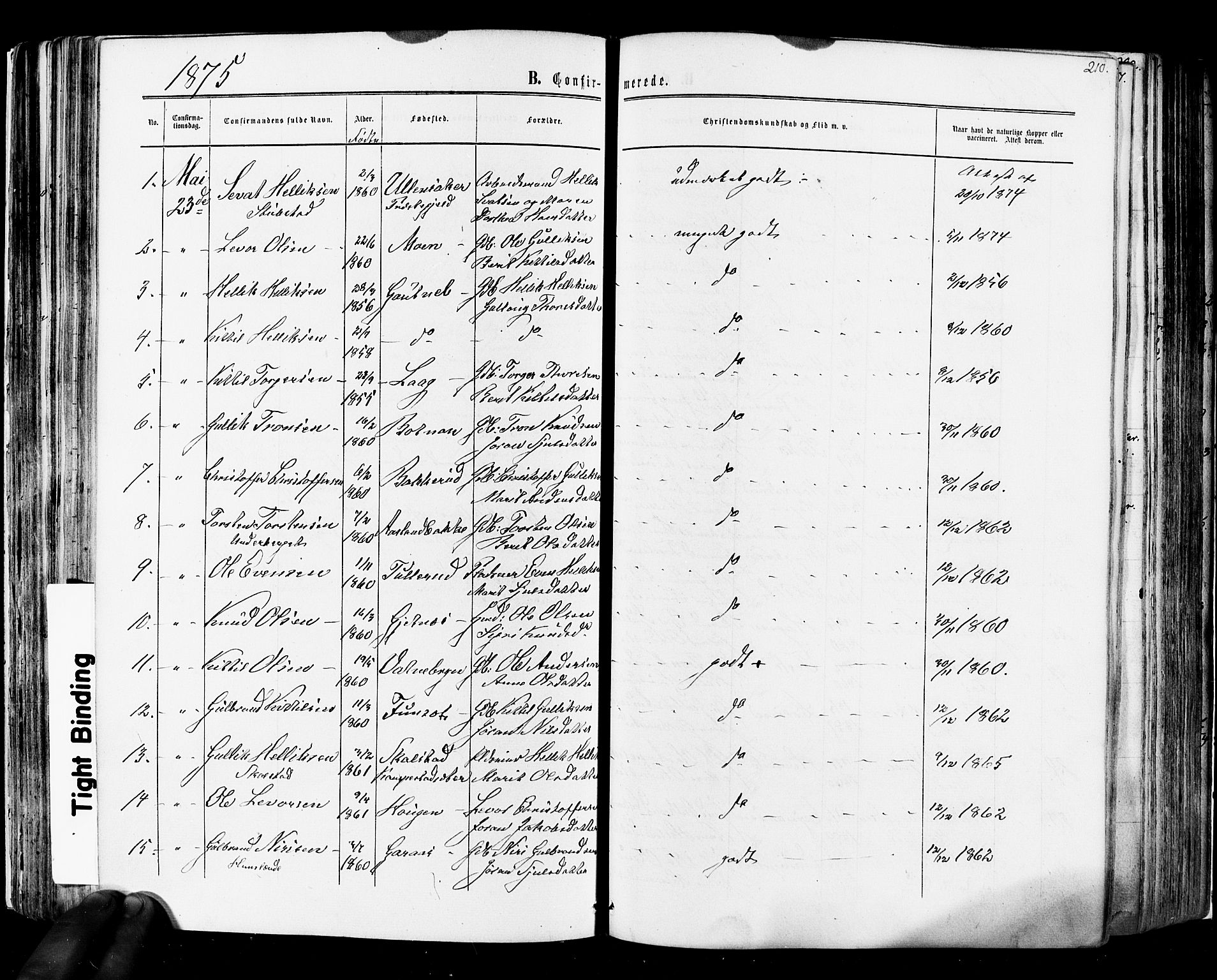 Flesberg kirkebøker, SAKO/A-18/F/Fa/L0007: Parish register (official) no. I 7, 1861-1878, p. 210