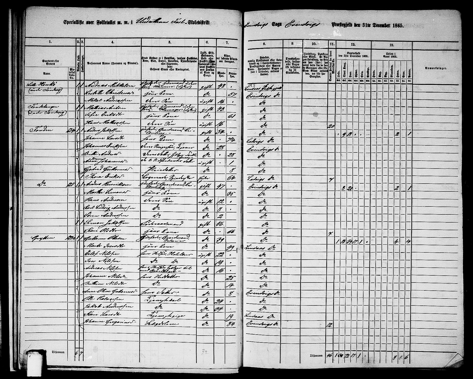 RA, 1865 census for Eivindvik, 1865, p. 19