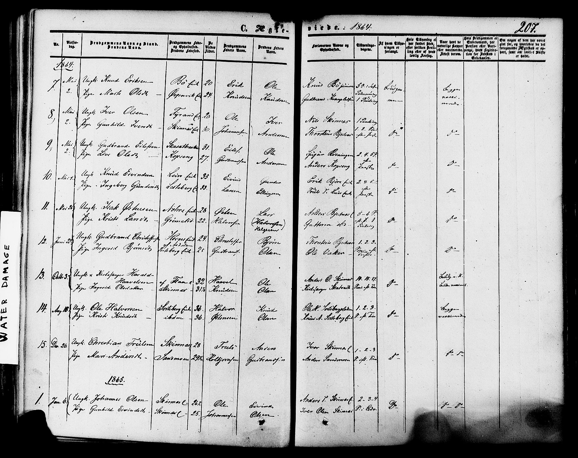 Krødsherad kirkebøker, SAKO/A-19/F/Fa/L0003: Parish register (official) no. 3, 1851-1872, p. 207