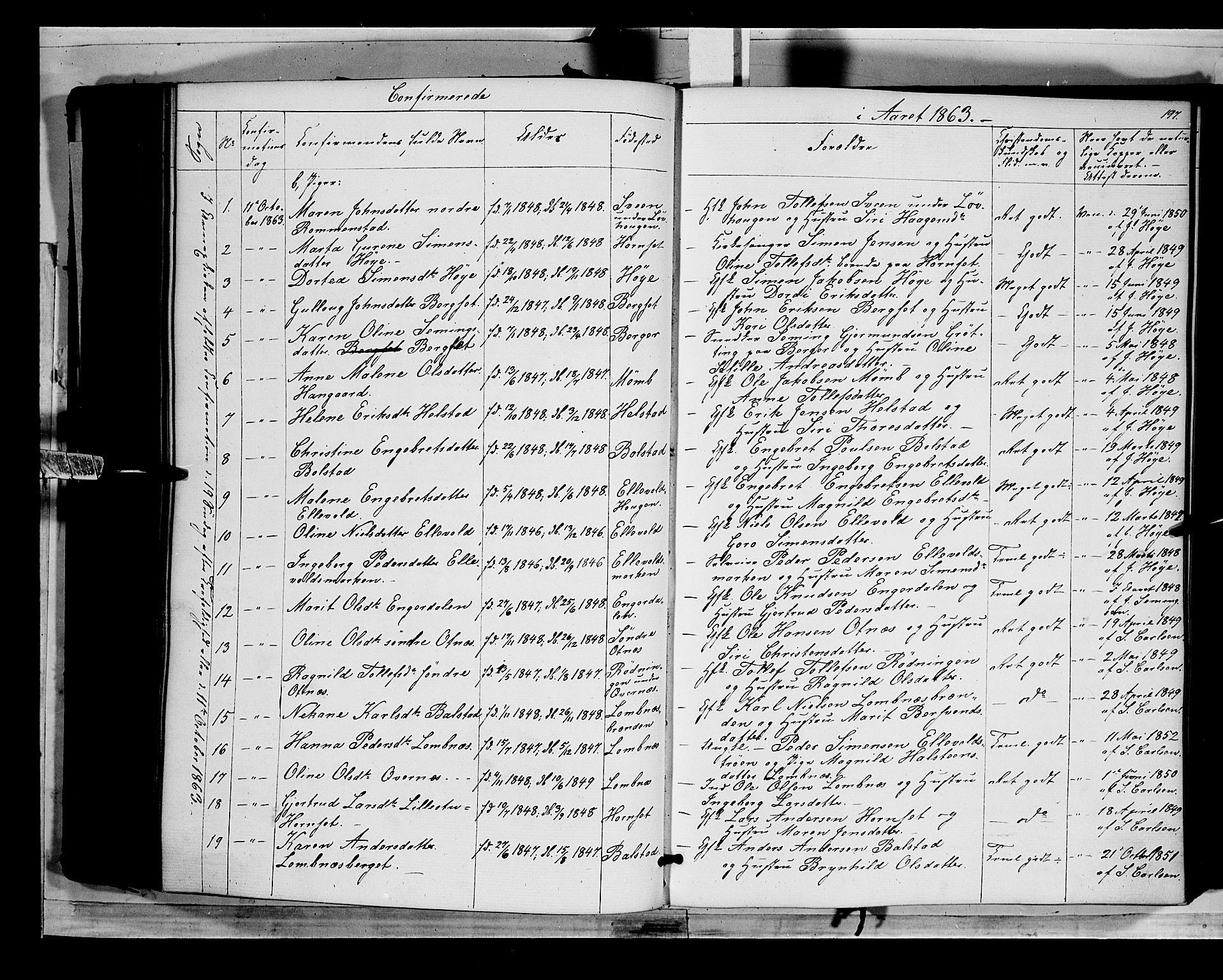 Rendalen prestekontor, SAH/PREST-054/H/Ha/Haa/L0005: Parish register (official) no. 5, 1853-1866, p. 197