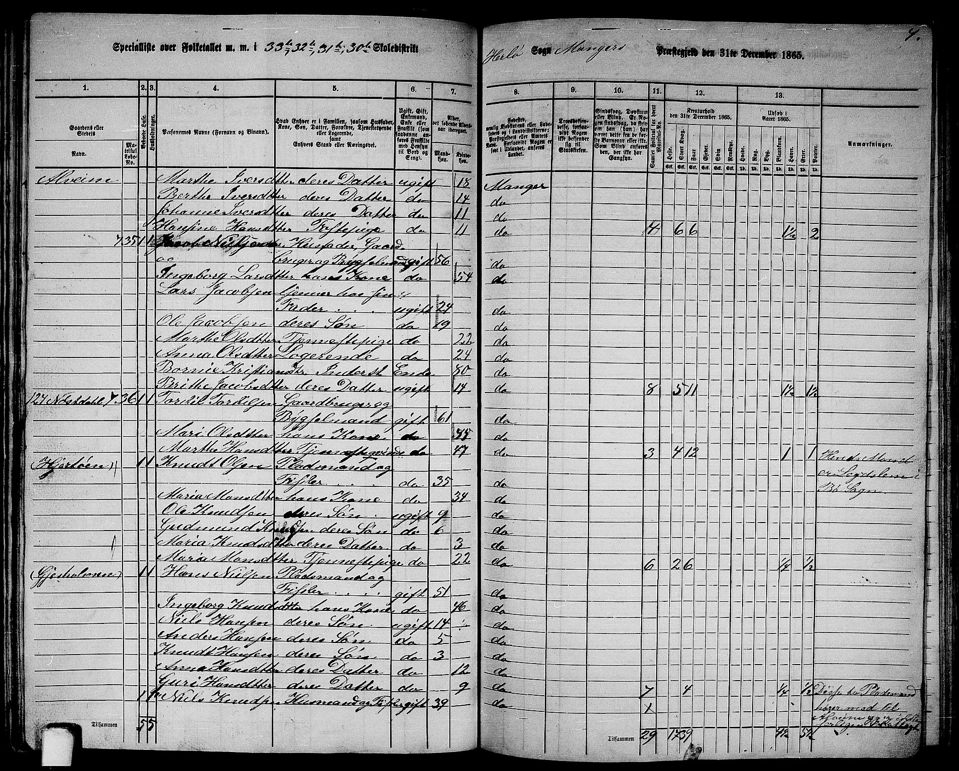 RA, 1865 census for Manger, 1865, p. 219