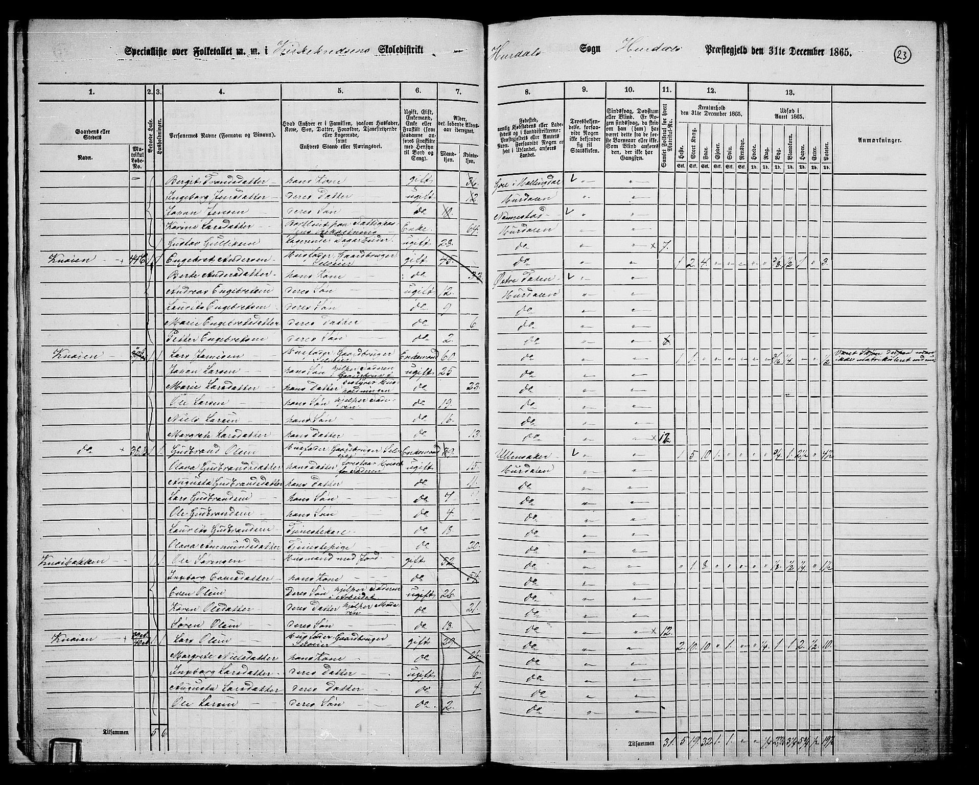 RA, 1865 census for Hurdal, 1865, p. 20