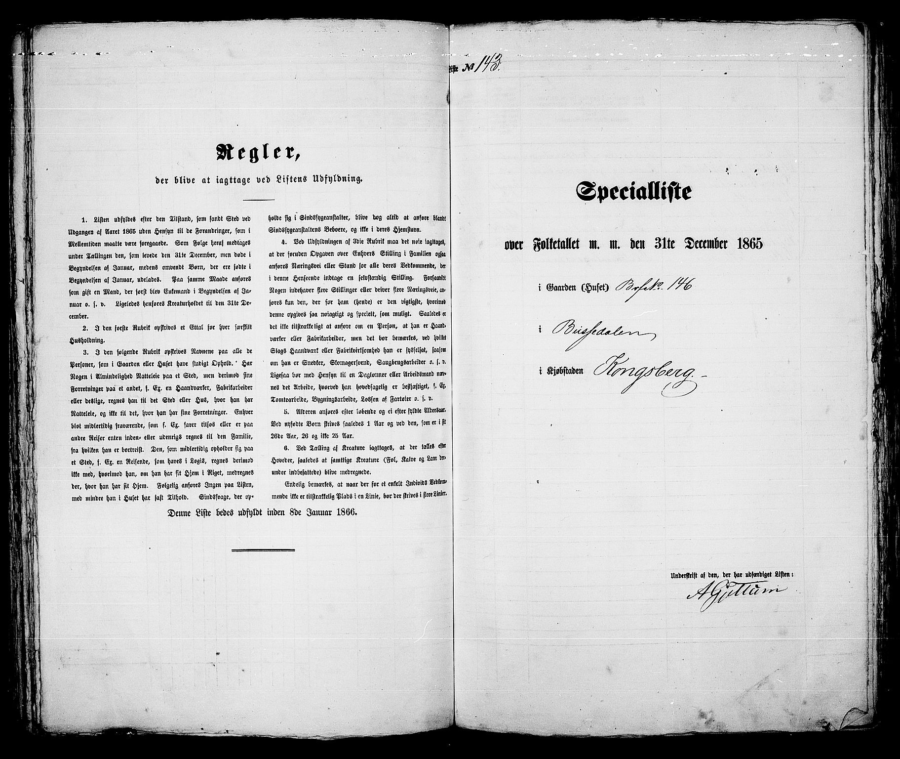 RA, 1865 census for Kongsberg/Kongsberg, 1865, p. 296