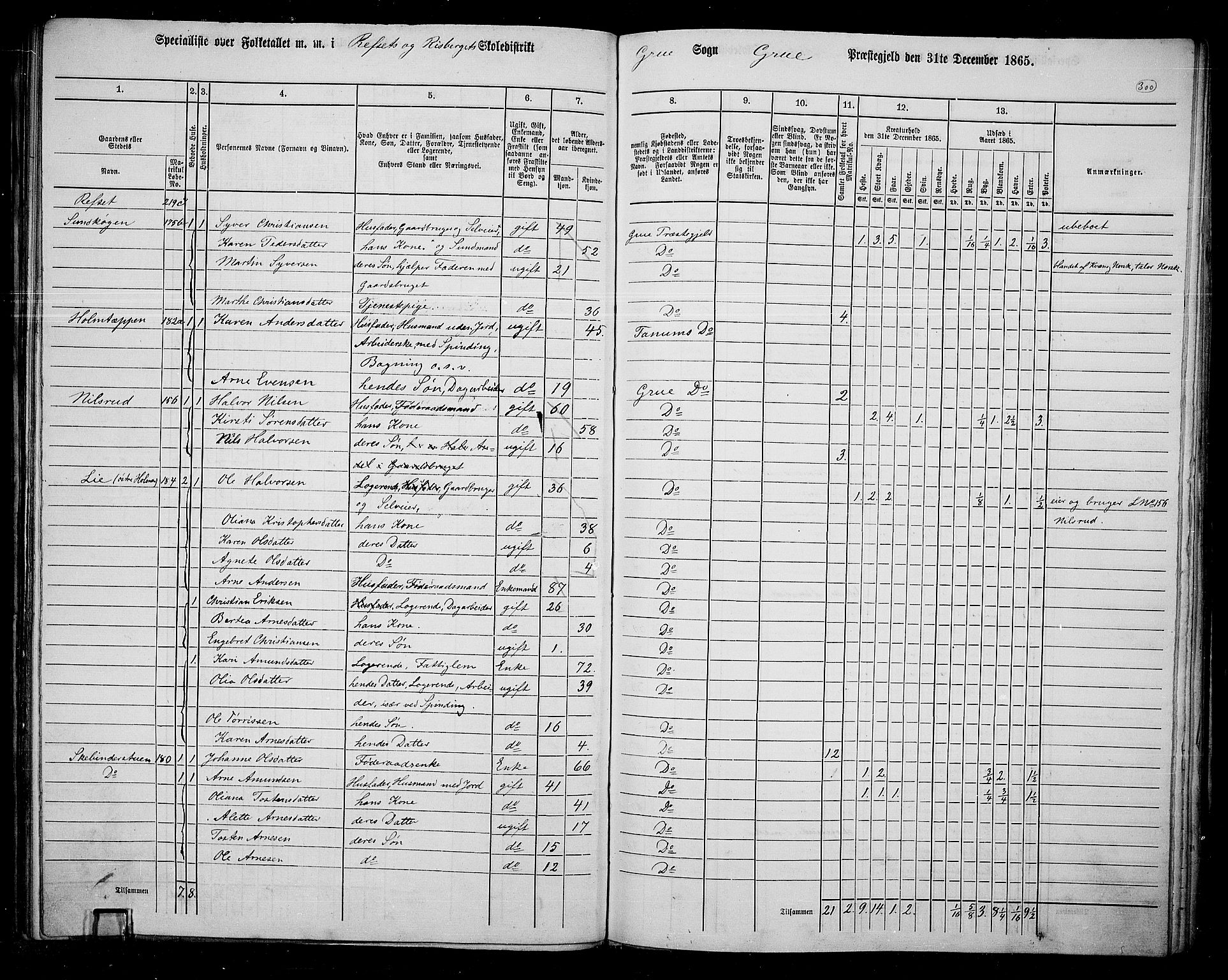 RA, 1865 census for Grue, 1865, p. 263