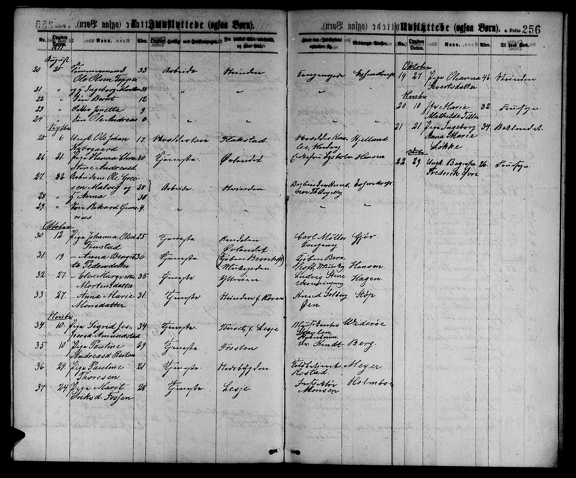 Ministerialprotokoller, klokkerbøker og fødselsregistre - Sør-Trøndelag, SAT/A-1456/601/L0088: Parish register (copy) no. 601C06, 1870-1878, p. 256