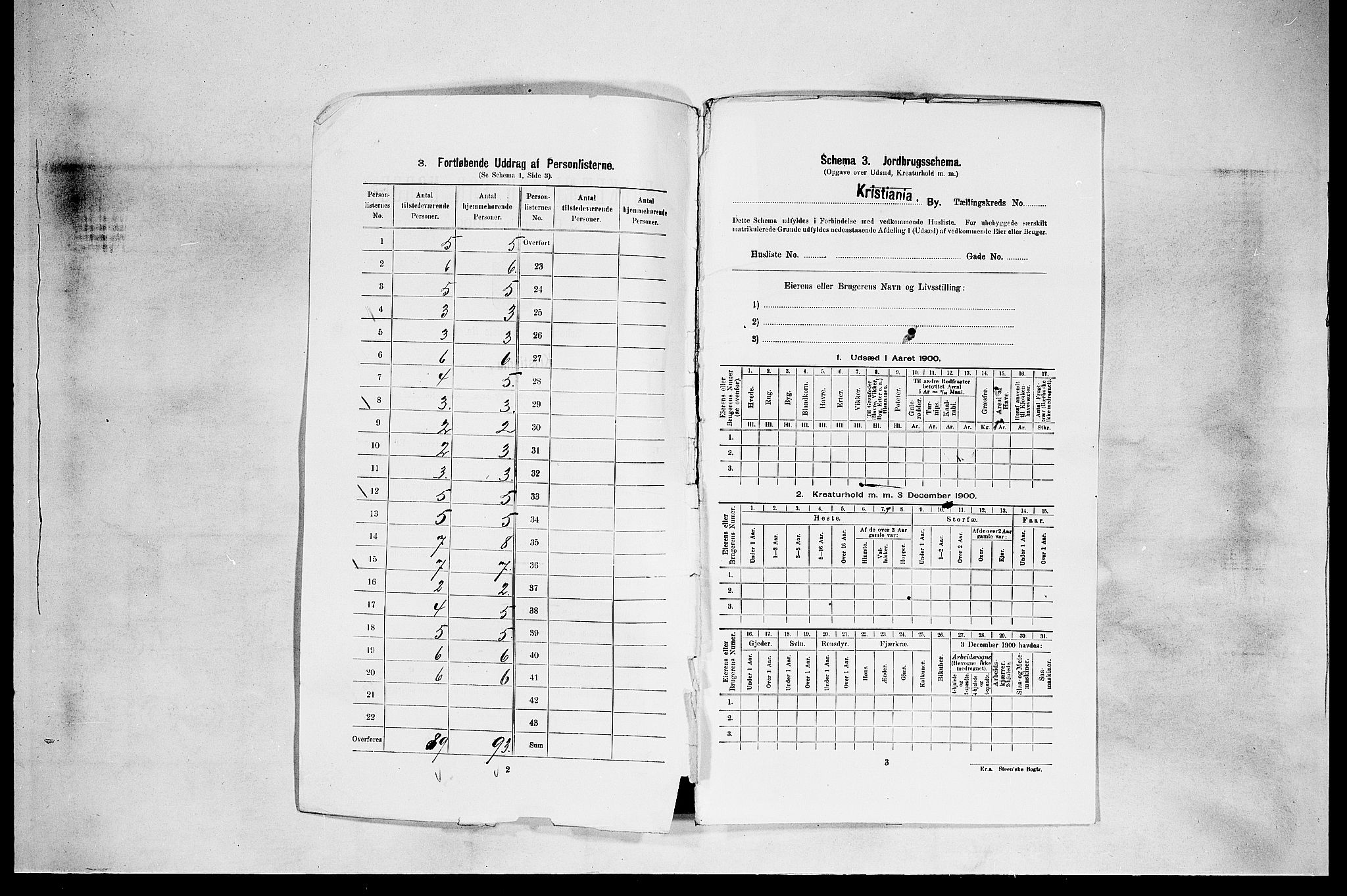 SAO, 1900 census for Kristiania, 1900, p. 20
