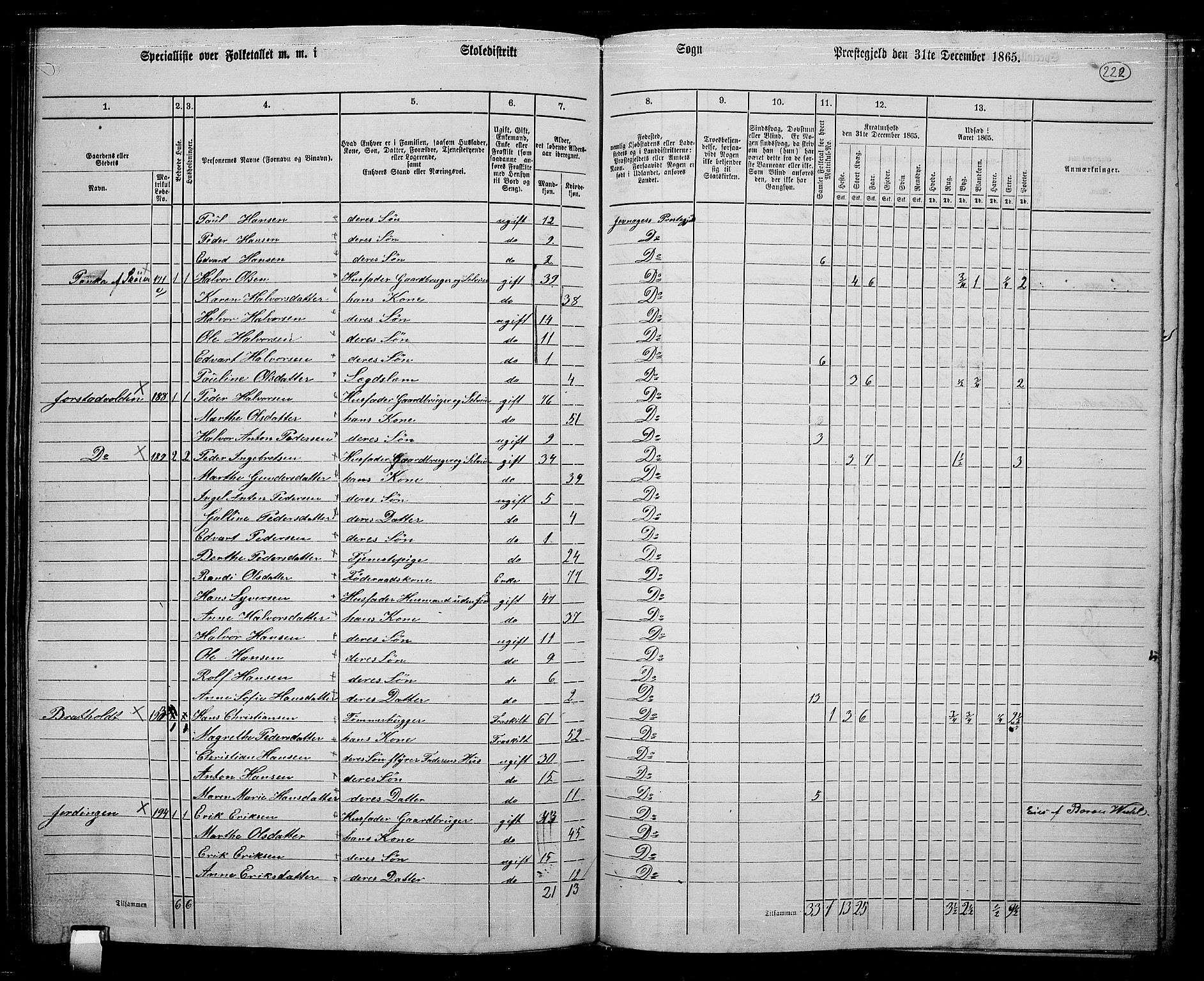RA, 1865 census for Jevnaker, 1865, p. 206
