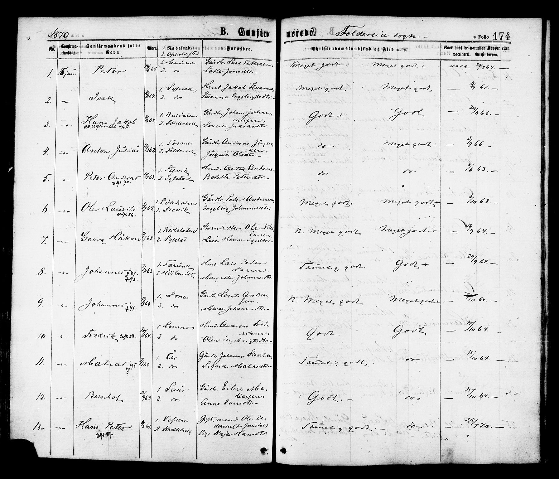 Ministerialprotokoller, klokkerbøker og fødselsregistre - Nord-Trøndelag, AV/SAT-A-1458/780/L0642: Parish register (official) no. 780A07 /2, 1878-1885, p. 174