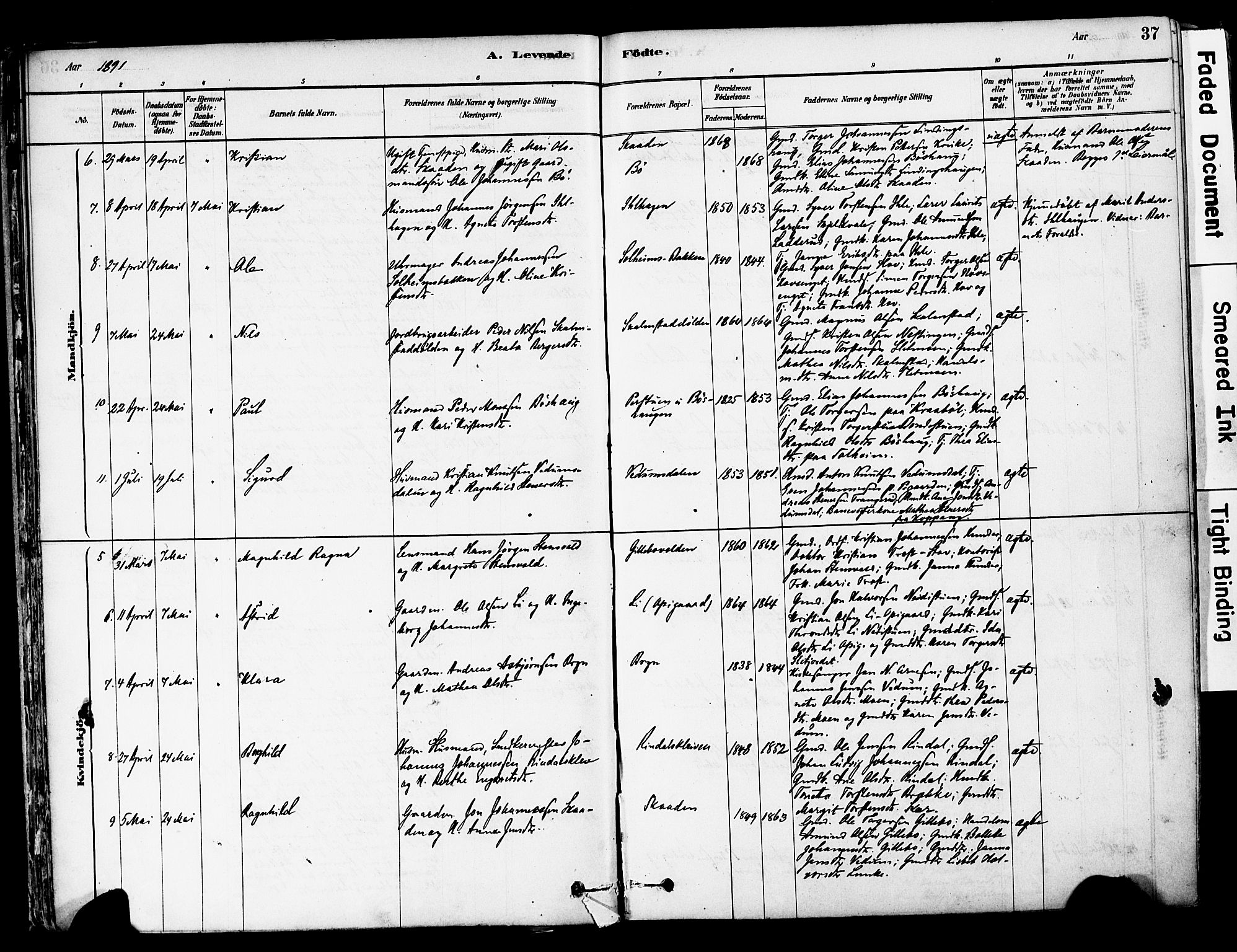 Øyer prestekontor, SAH/PREST-084/H/Ha/Haa/L0008: Parish register (official) no. 8, 1878-1897, p. 37