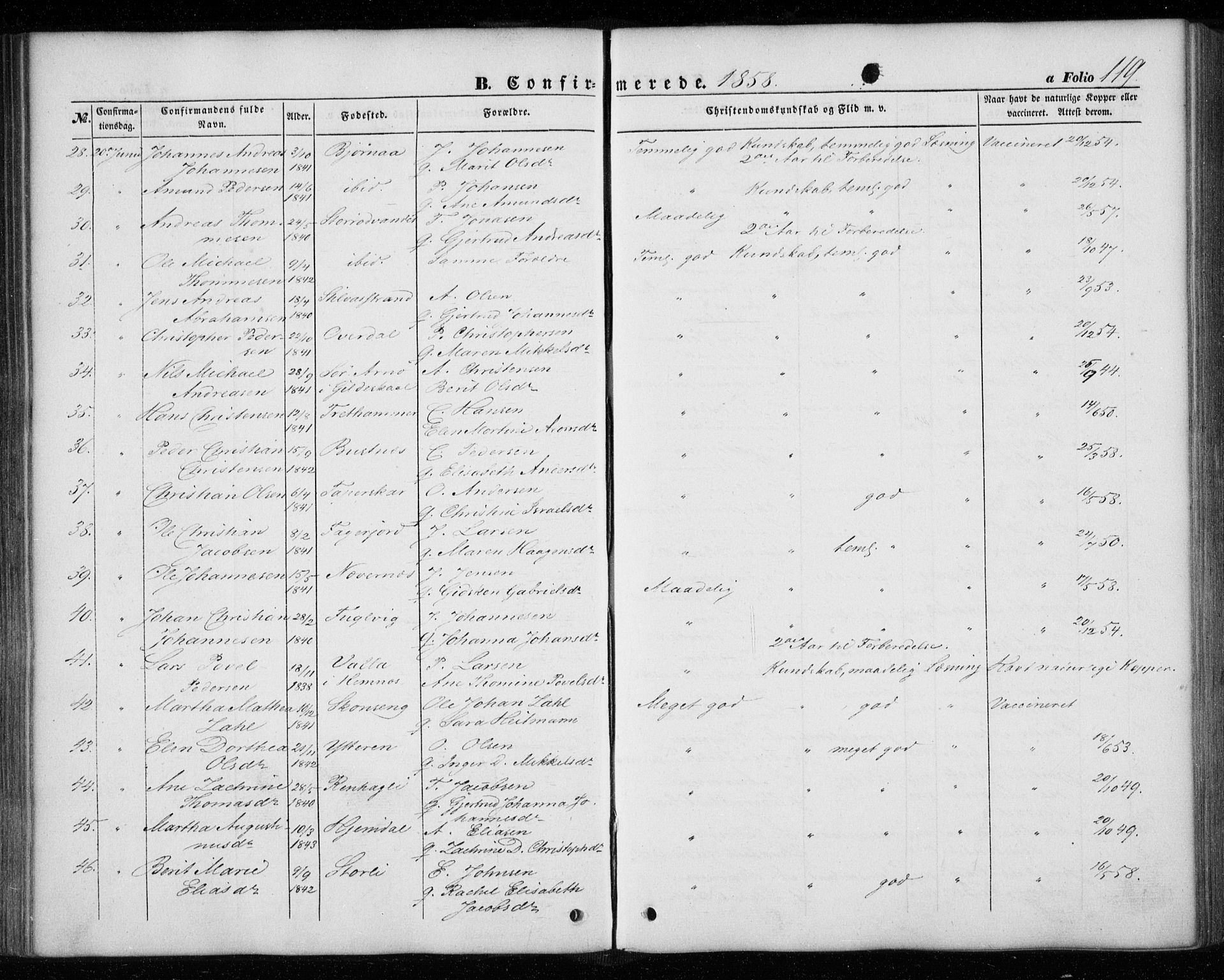 Ministerialprotokoller, klokkerbøker og fødselsregistre - Nordland, AV/SAT-A-1459/827/L0392: Parish register (official) no. 827A04, 1853-1866, p. 119