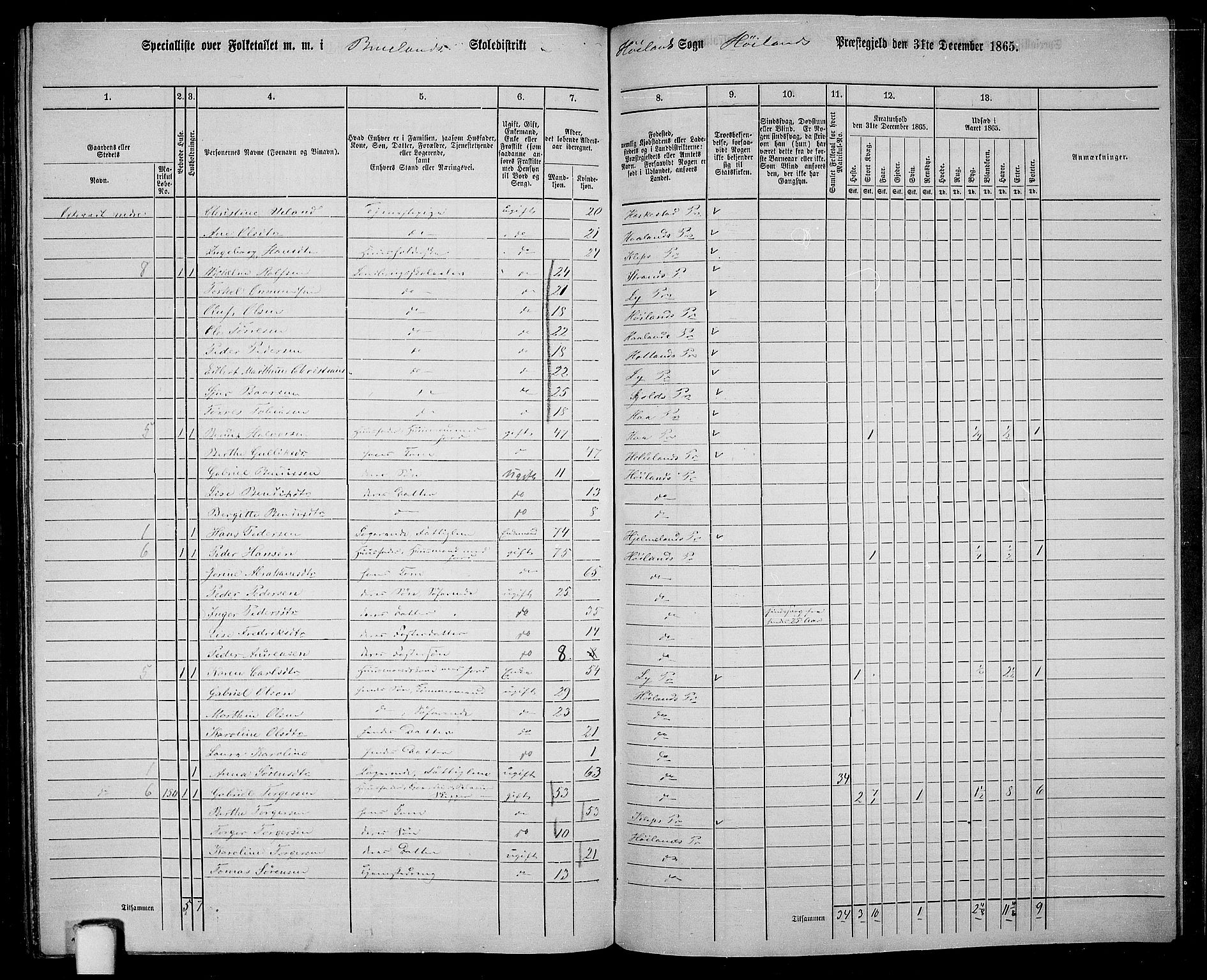 RA, 1865 census for Høyland, 1865, p. 131