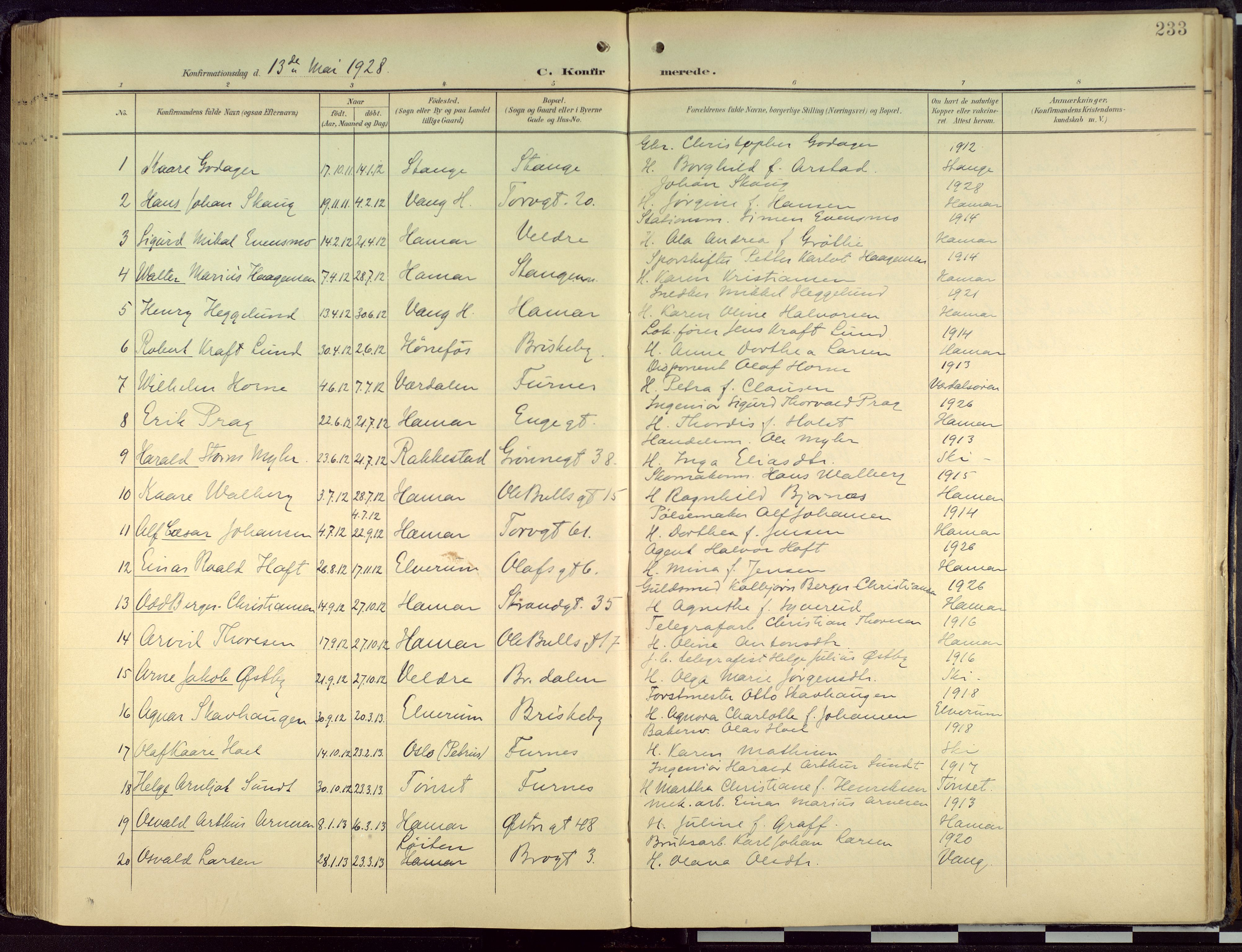 Hamar prestekontor, AV/SAH-DOMPH-002/H/Ha/Haa/L0004: Parish register (official) no. 4, 1899-1973, p. 233