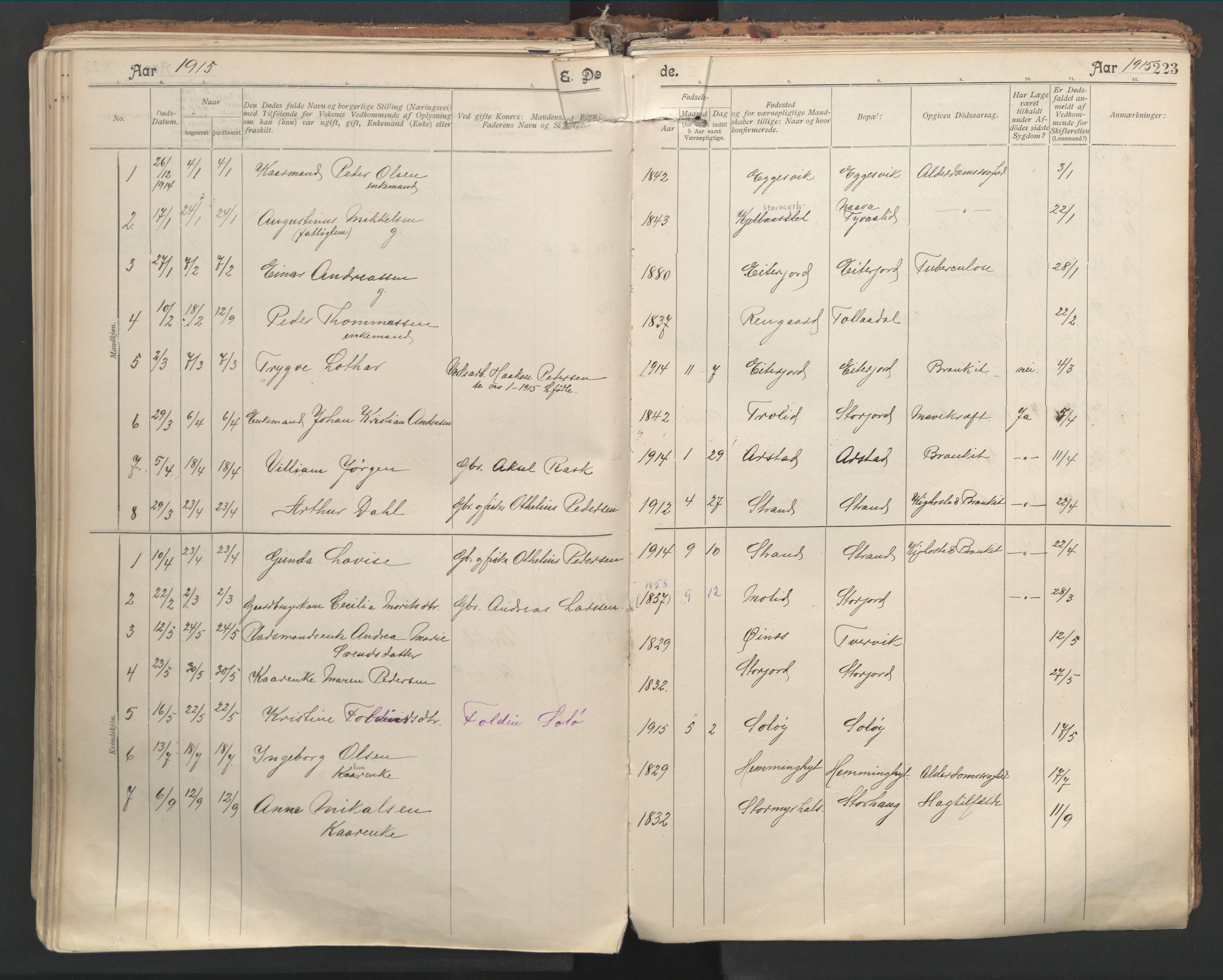 Ministerialprotokoller, klokkerbøker og fødselsregistre - Nordland, AV/SAT-A-1459/846/L0647: Parish register (official) no. 846A05, 1902-1915, p. 223