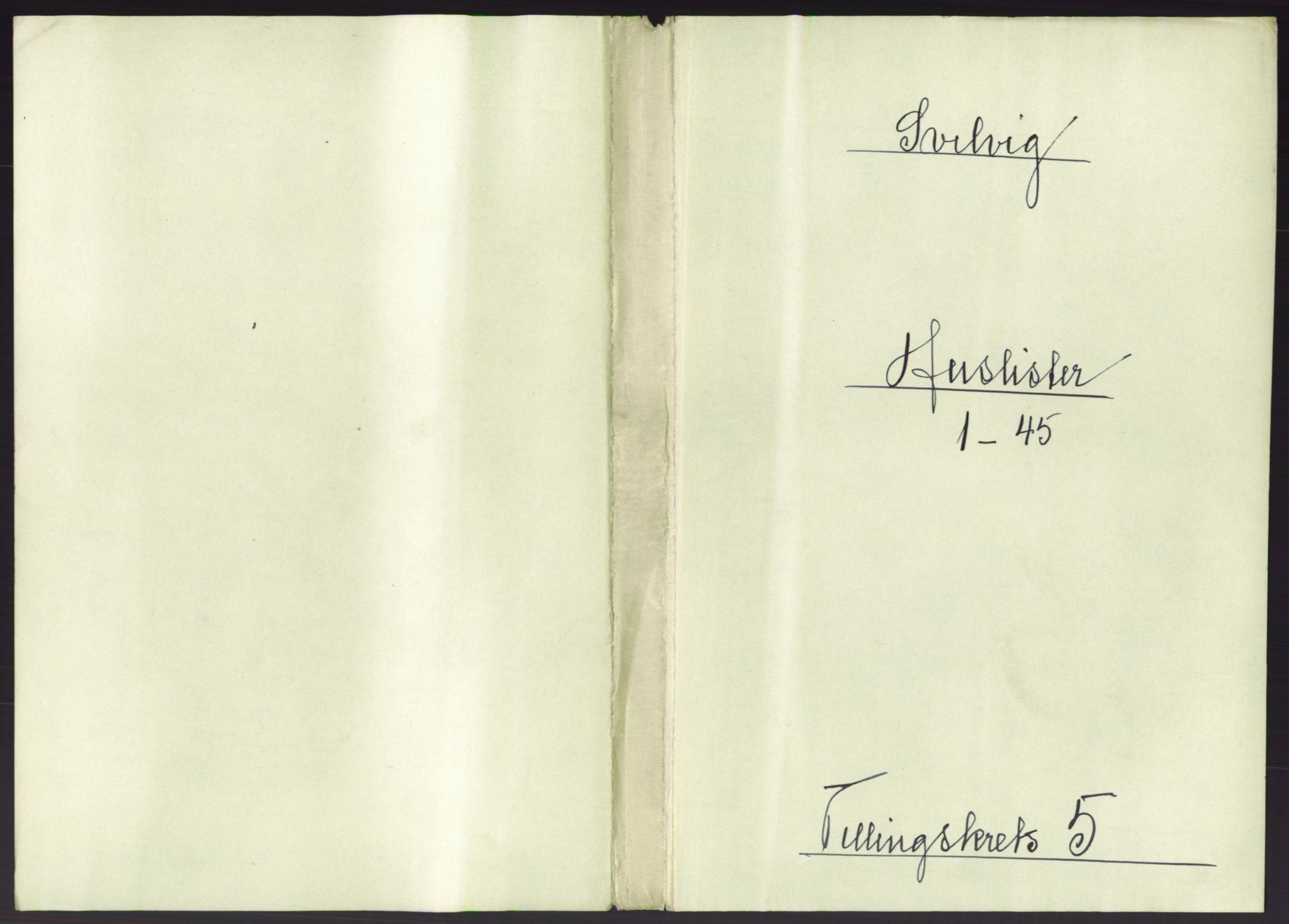 RA, 1891 census for 0701 Svelvik, 1891, p. 458