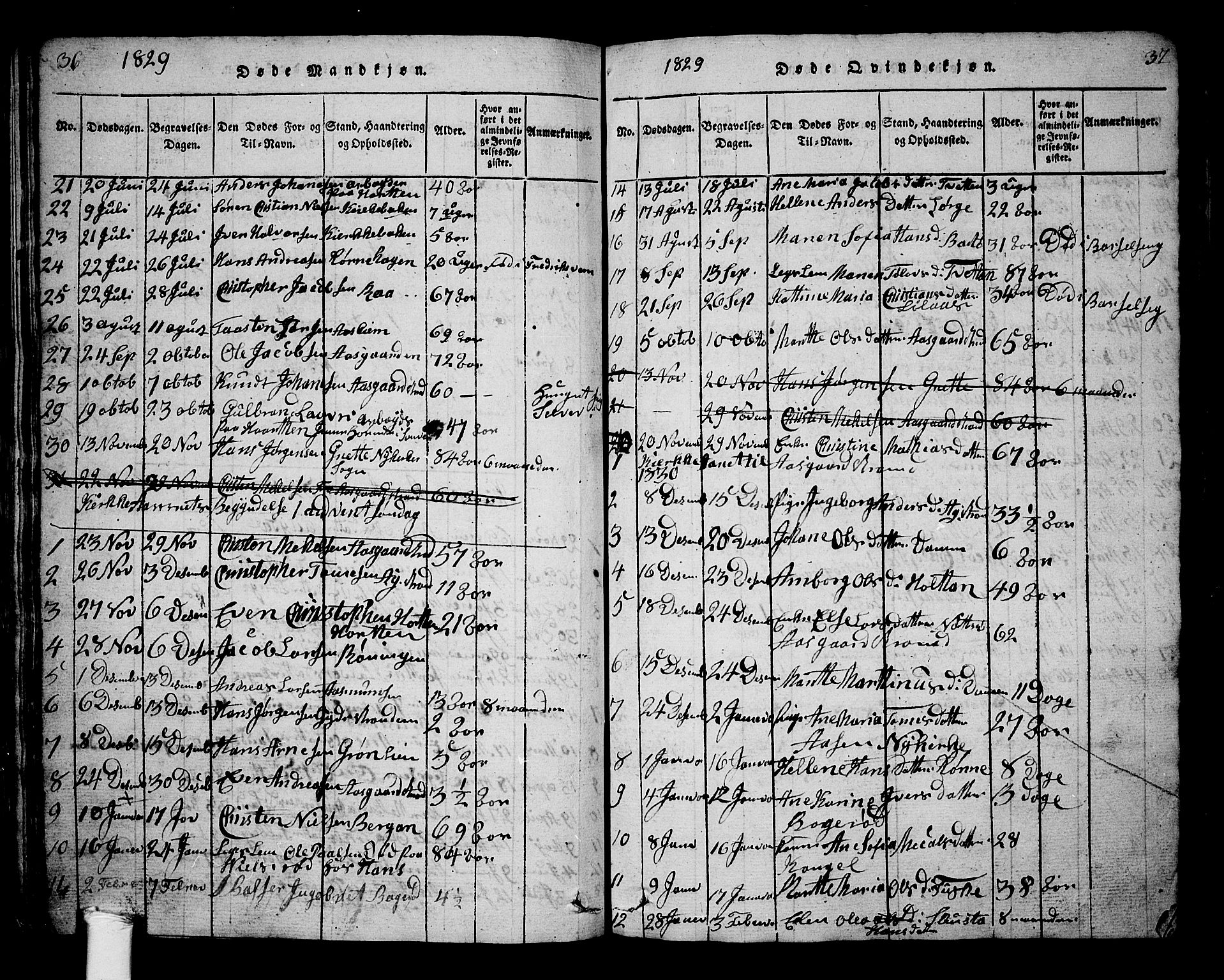 Borre kirkebøker, AV/SAKO-A-338/G/Ga/L0001: Parish register (copy) no. I 1, 1815-1851, p. 36-37