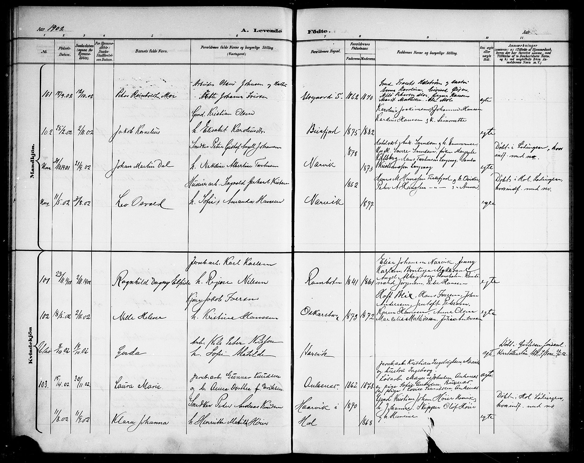 Ministerialprotokoller, klokkerbøker og fødselsregistre - Nordland, AV/SAT-A-1459/866/L0953: Parish register (copy) no. 866C02, 1900-1905