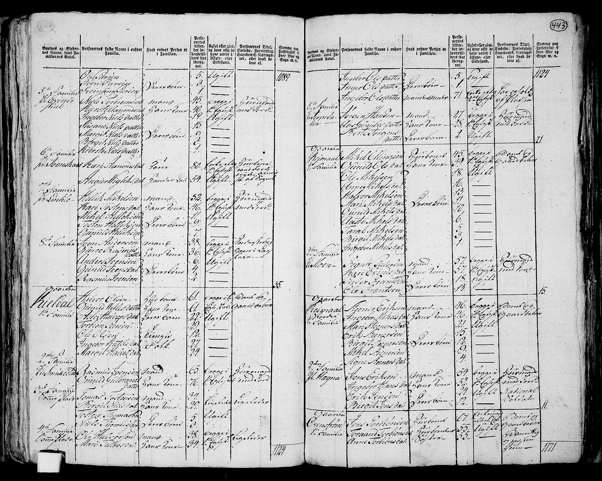 RA, 1801 census for 0829P Kviteseid, 1801, p. 442b-443a