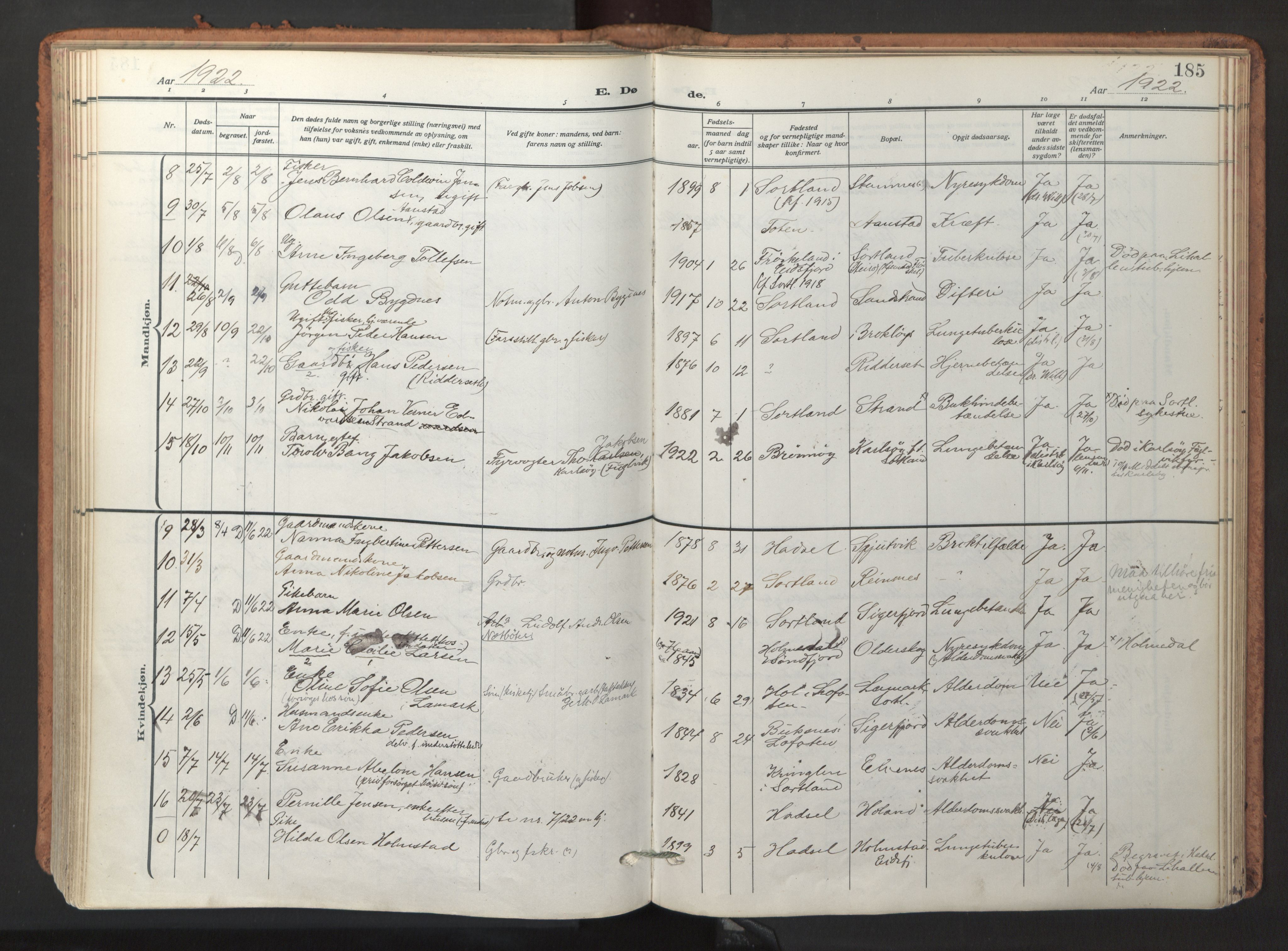 Ministerialprotokoller, klokkerbøker og fødselsregistre - Nordland, AV/SAT-A-1459/895/L1374: Parish register (official) no. 895A09, 1915-1925, p. 185