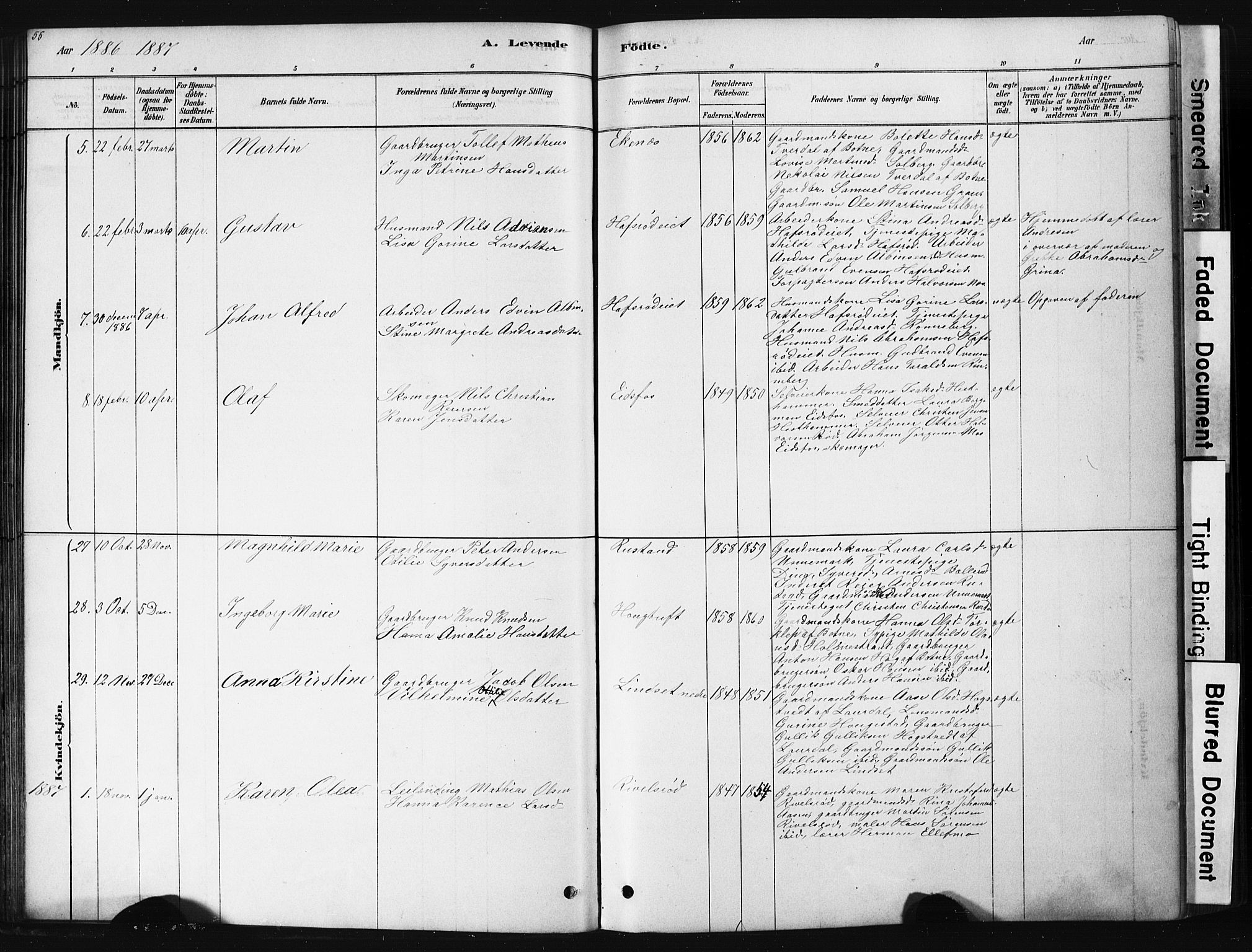 Hof kirkebøker, AV/SAKO-A-64/G/Ga/L0004: Parish register (copy) no. I 4, 1878-1930, p. 55