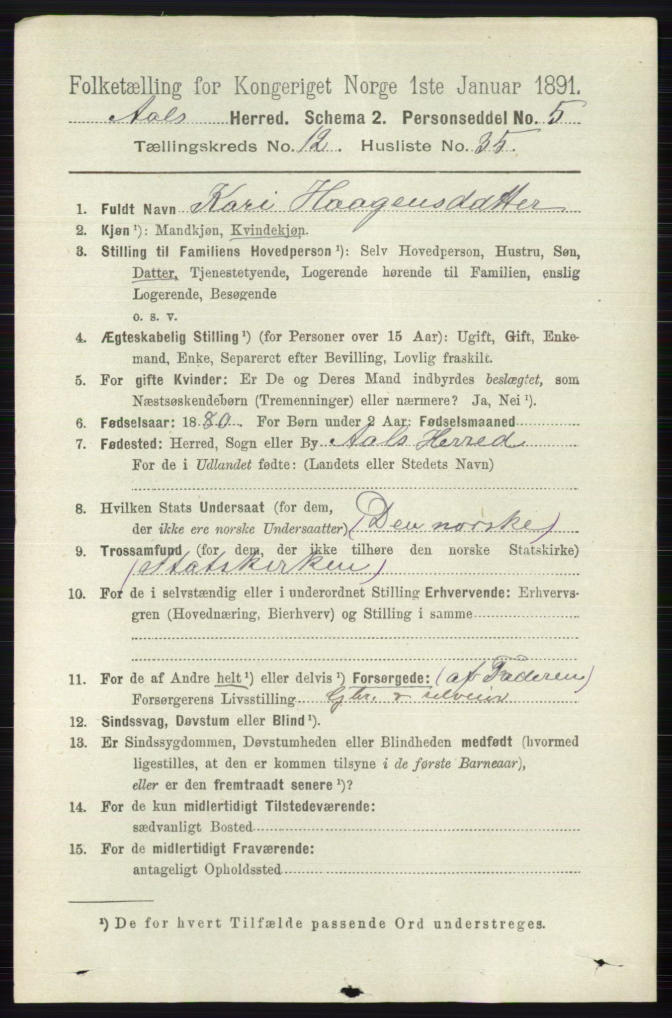 RA, 1891 census for 0619 Ål, 1891, p. 3209