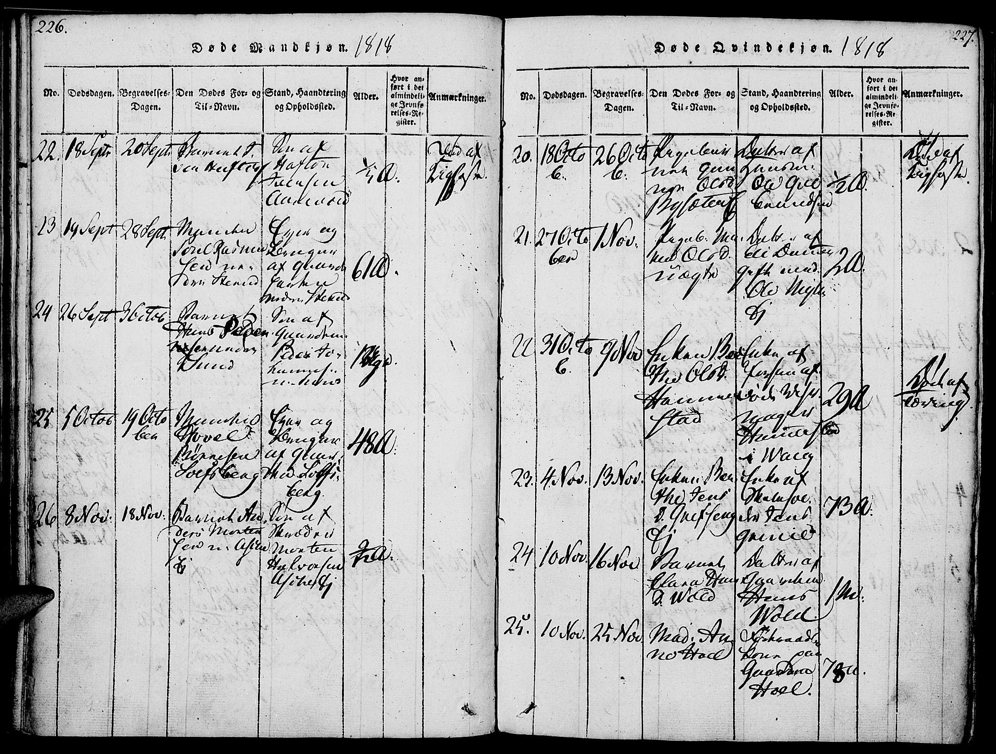 Nes prestekontor, Hedmark, AV/SAH-PREST-020/K/Ka/L0002: Parish register (official) no. 2, 1813-1827, p. 226-227