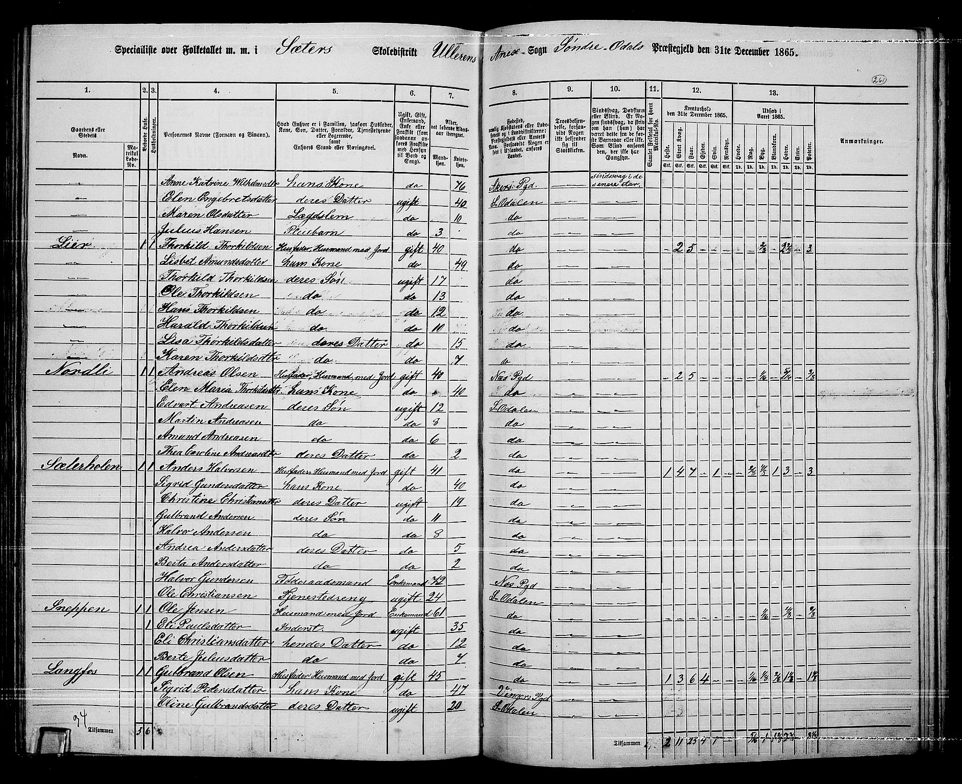 RA, 1865 census for Sør-Odal, 1865, p. 231