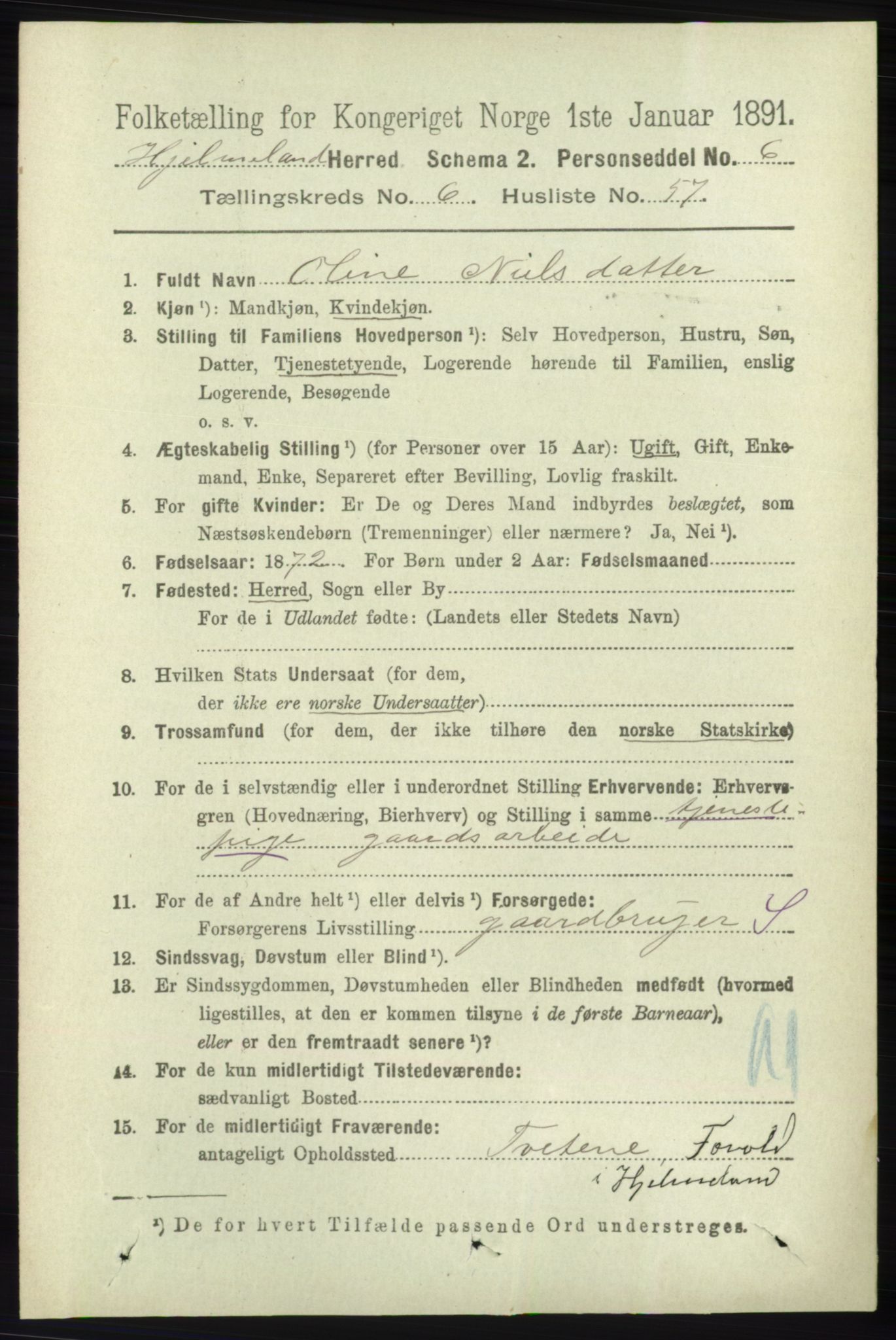 RA, 1891 census for 1133 Hjelmeland, 1891, p. 1861