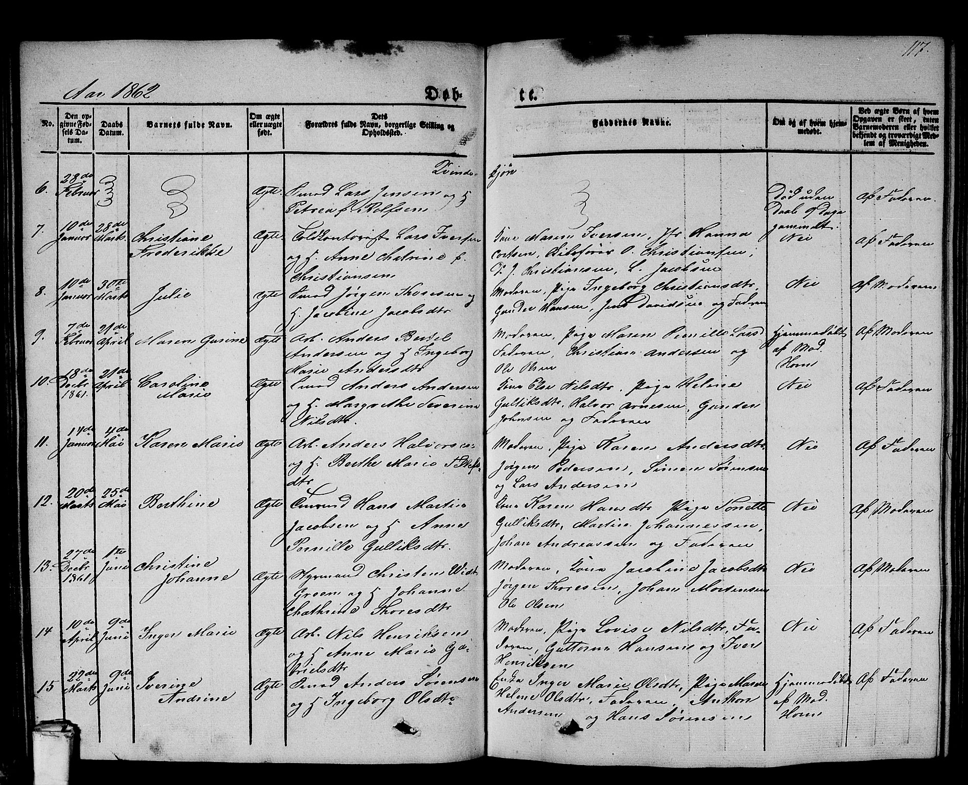 Larvik kirkebøker, AV/SAKO-A-352/G/Gb/L0002: Parish register (copy) no. II 2, 1843-1866, p. 117