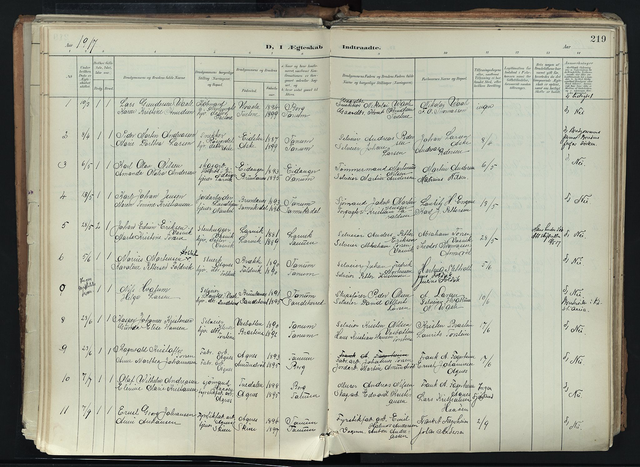 Brunlanes kirkebøker, AV/SAKO-A-342/F/Fc/L0003: Parish register (official) no. III 3, 1900-1922, p. 219