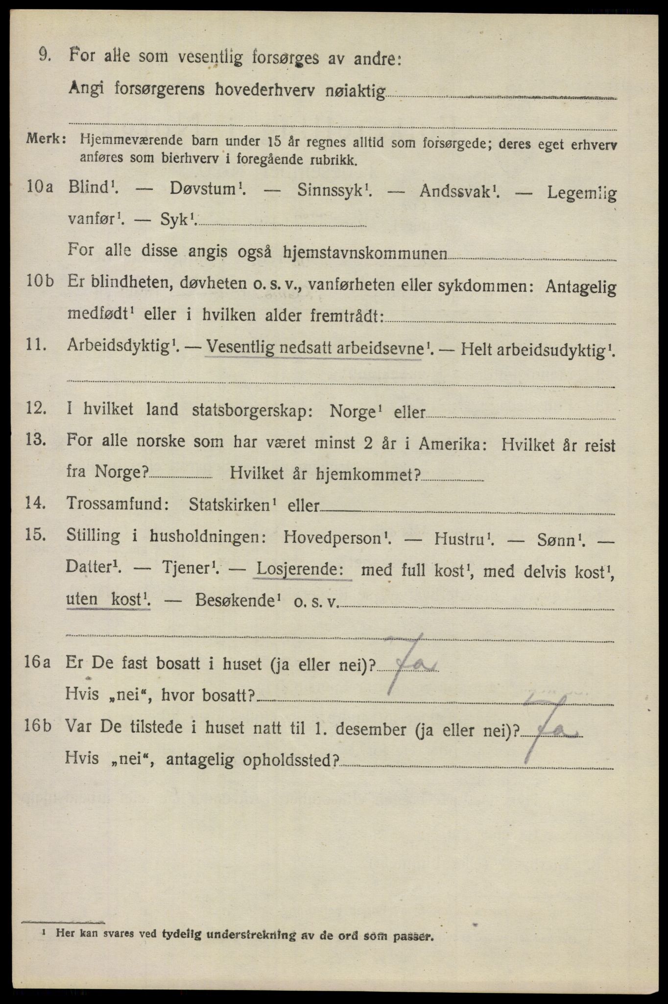 SAO, 1920 census for Lillestrøm, 1920, p. 11313