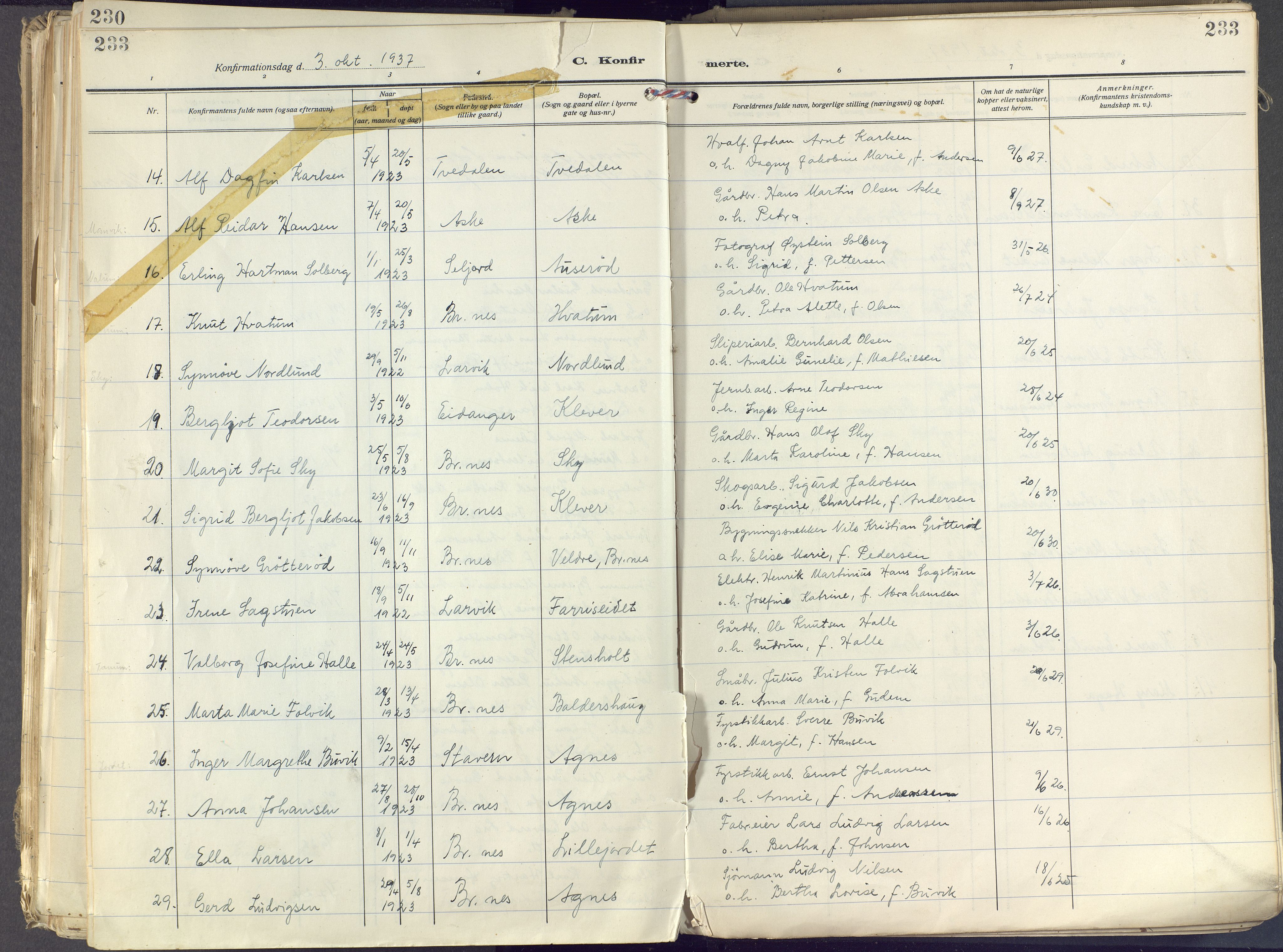 Brunlanes kirkebøker, SAKO/A-342/F/Fc/L0004: Parish register (official) no. III 4, 1923-1943, p. 233